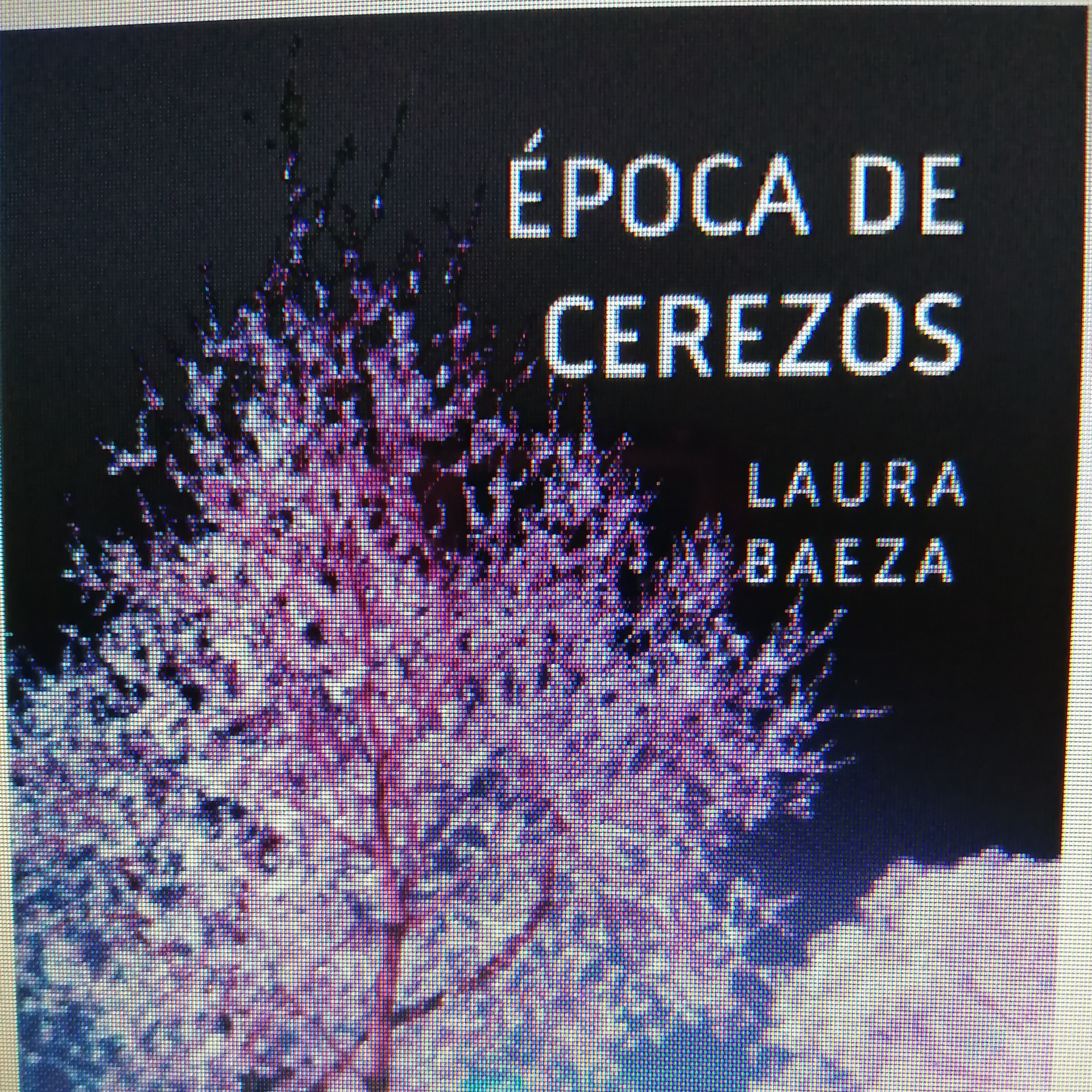 La carretera, Laura Baeza
