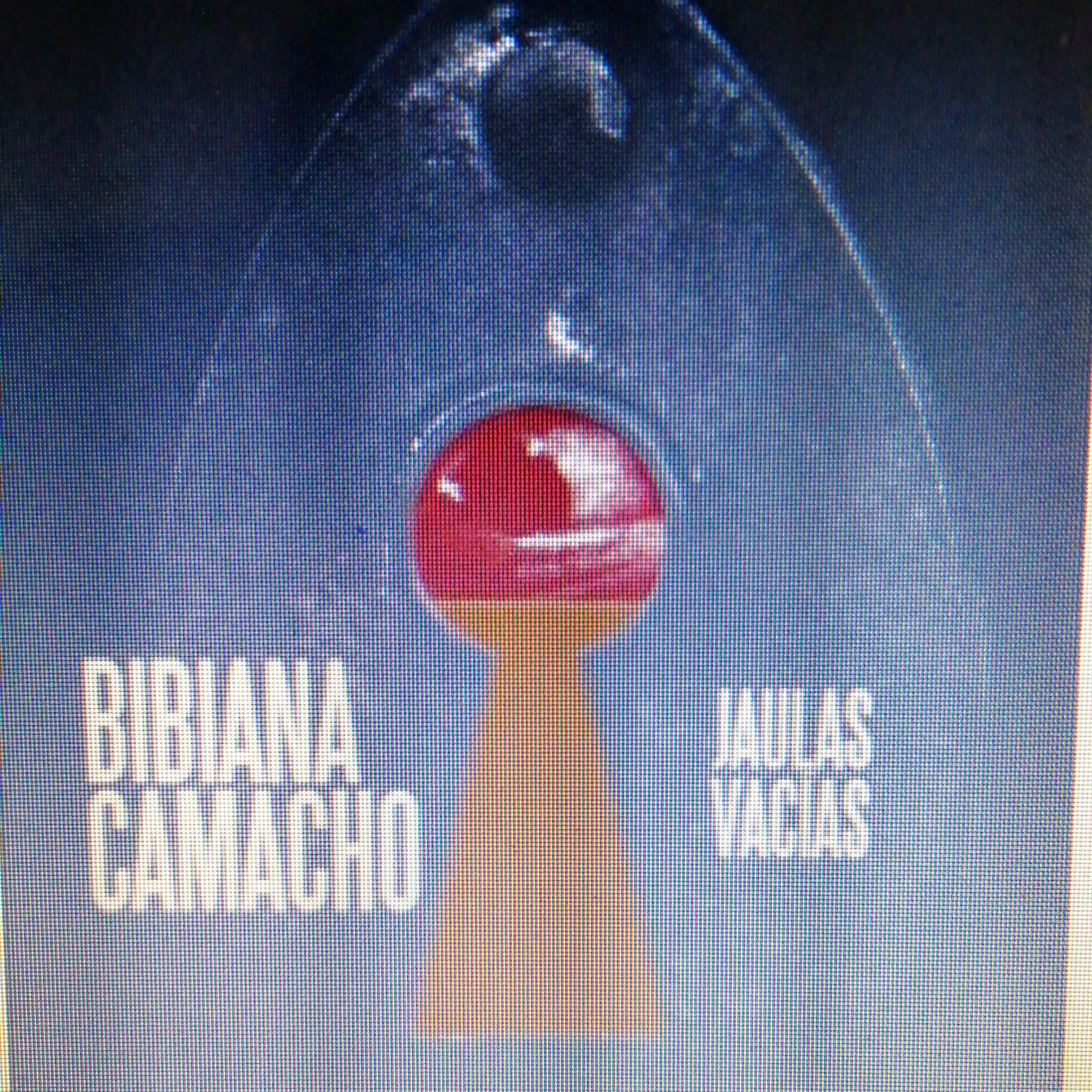 La casa de campo, Bibiana Camacho