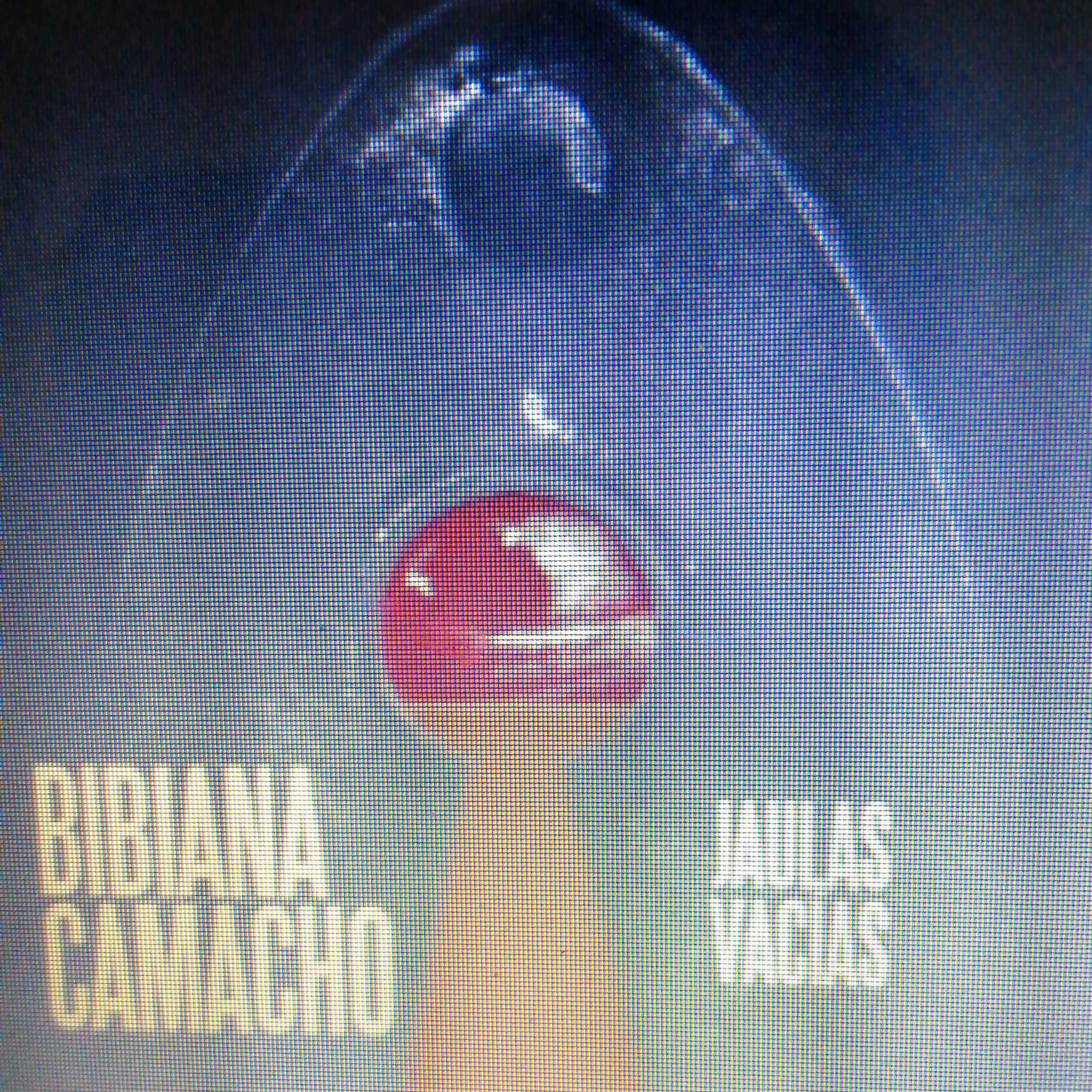 El videojuego, Bibiana Camacho