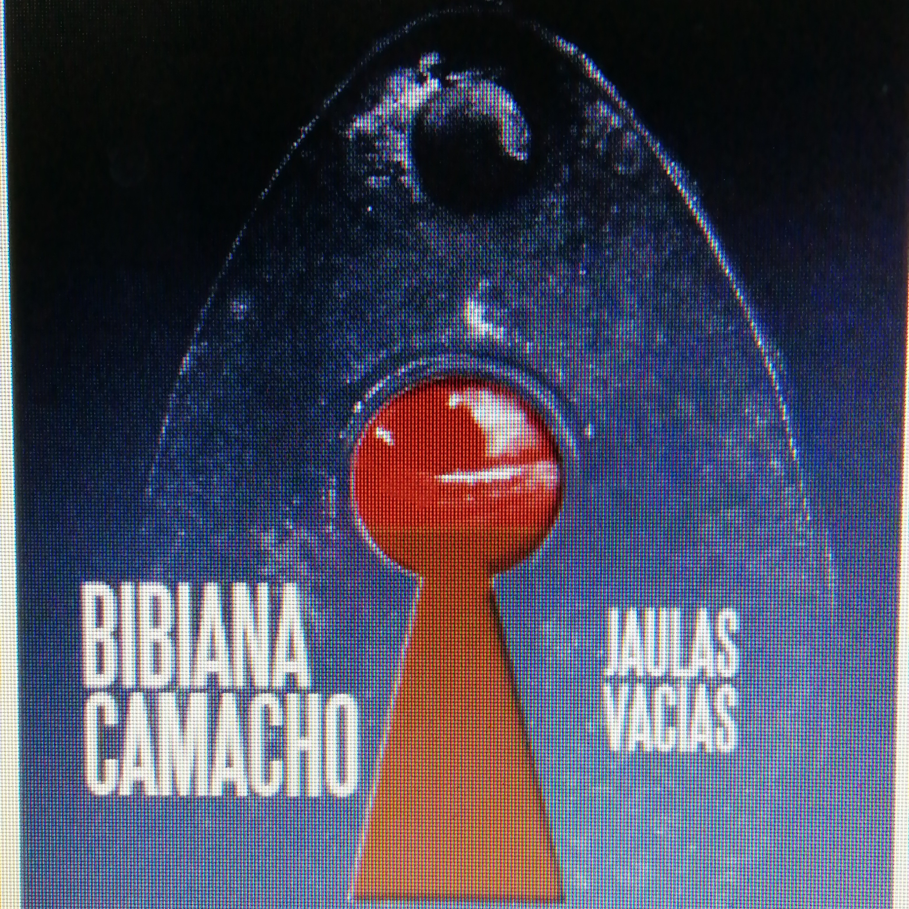 ¿Qué estás soñando? De Bibiana Camacho