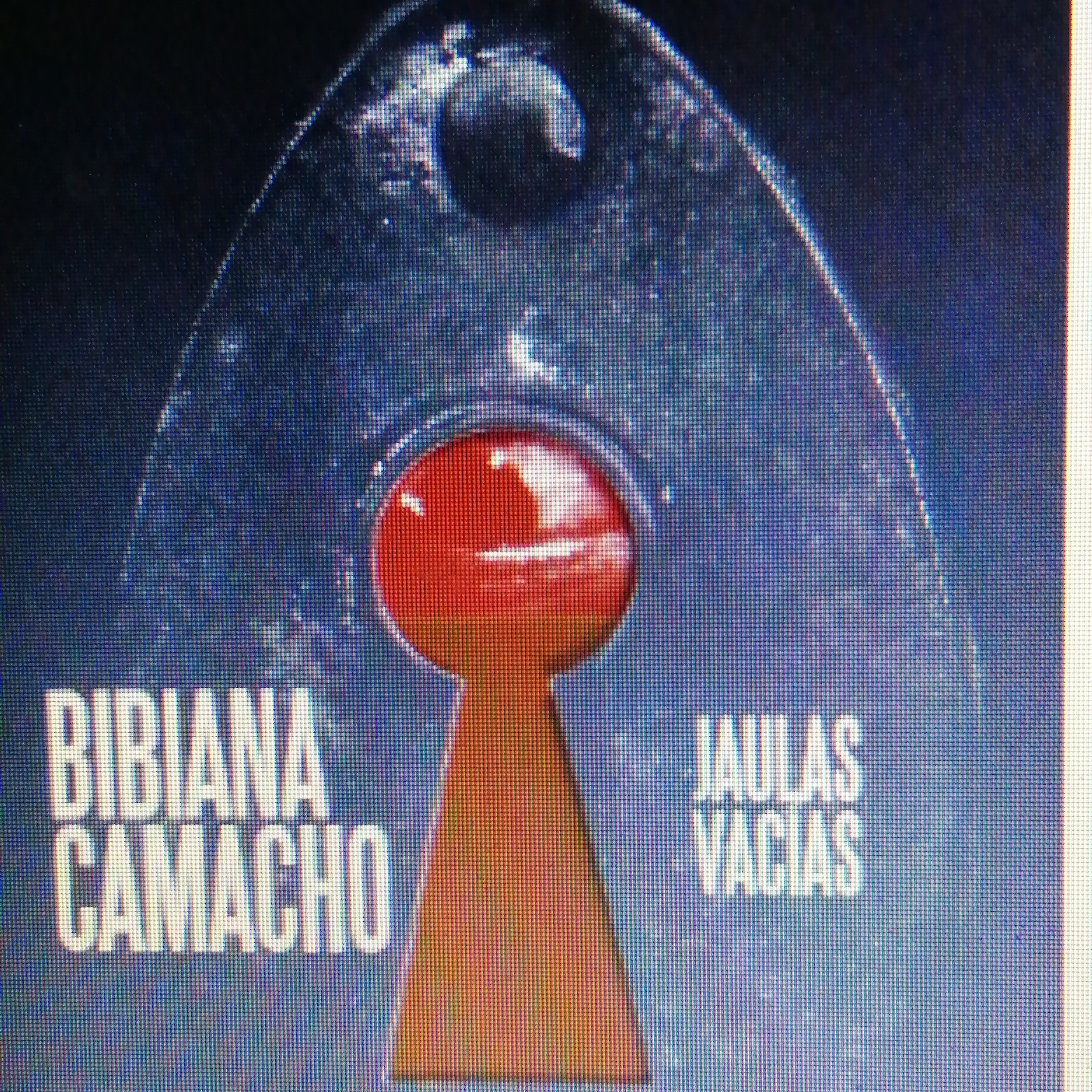 Simón, Bibiana Camacho