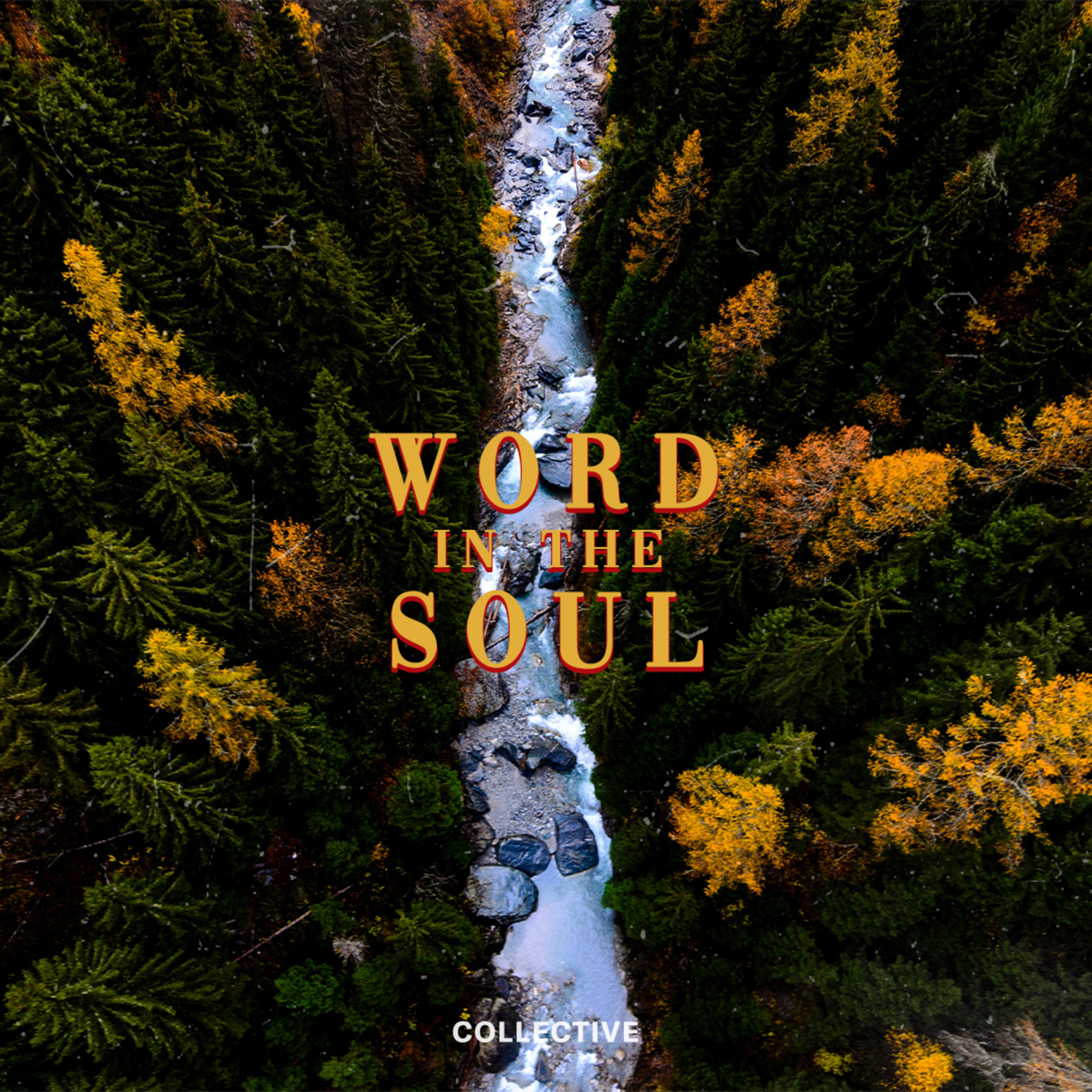 Pastor George Ng - Word In The Soul episode artwork
