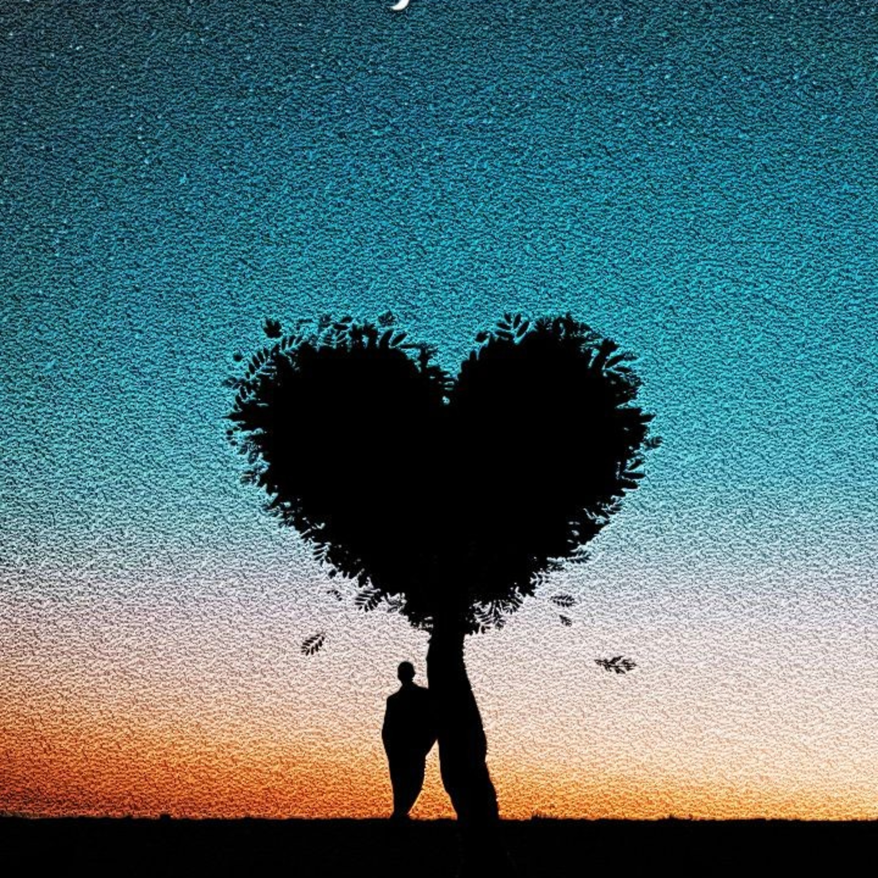 Poesias da Nonô - Nonô Poetry