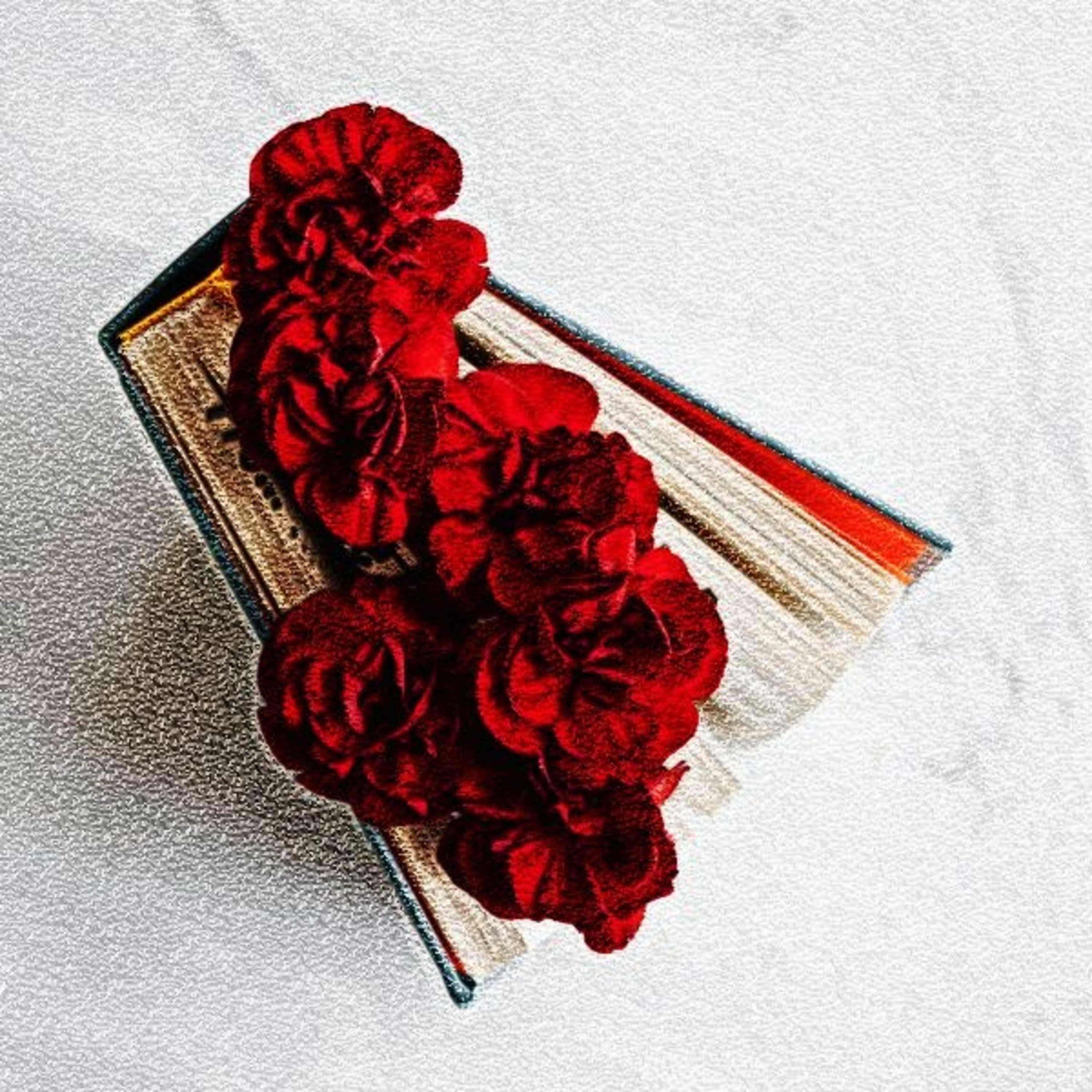 Poesias da Nonô - Nonô Poetry