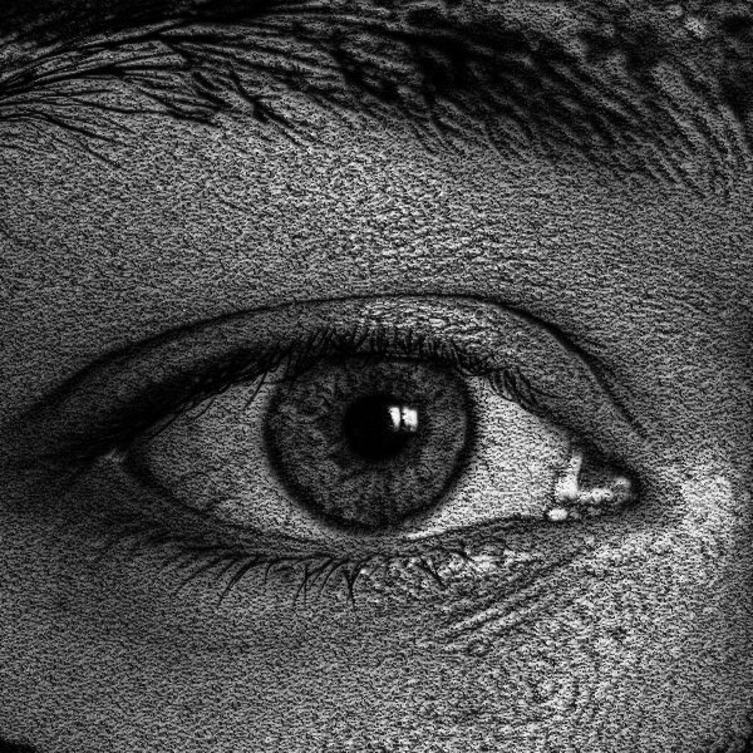 Poesias da Nonô - Nonô Poetry