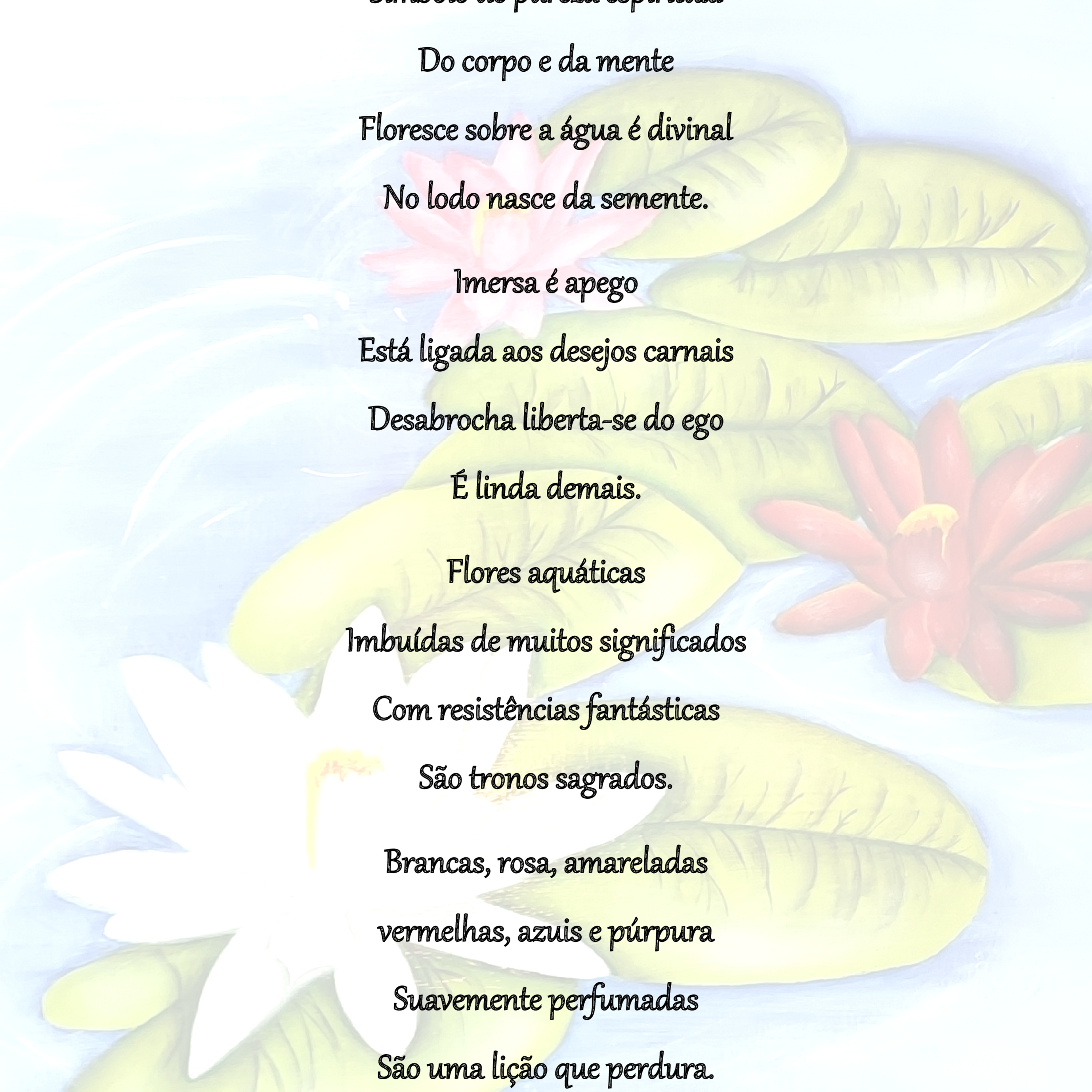 Poesias da Nonô - Nonô Poetry