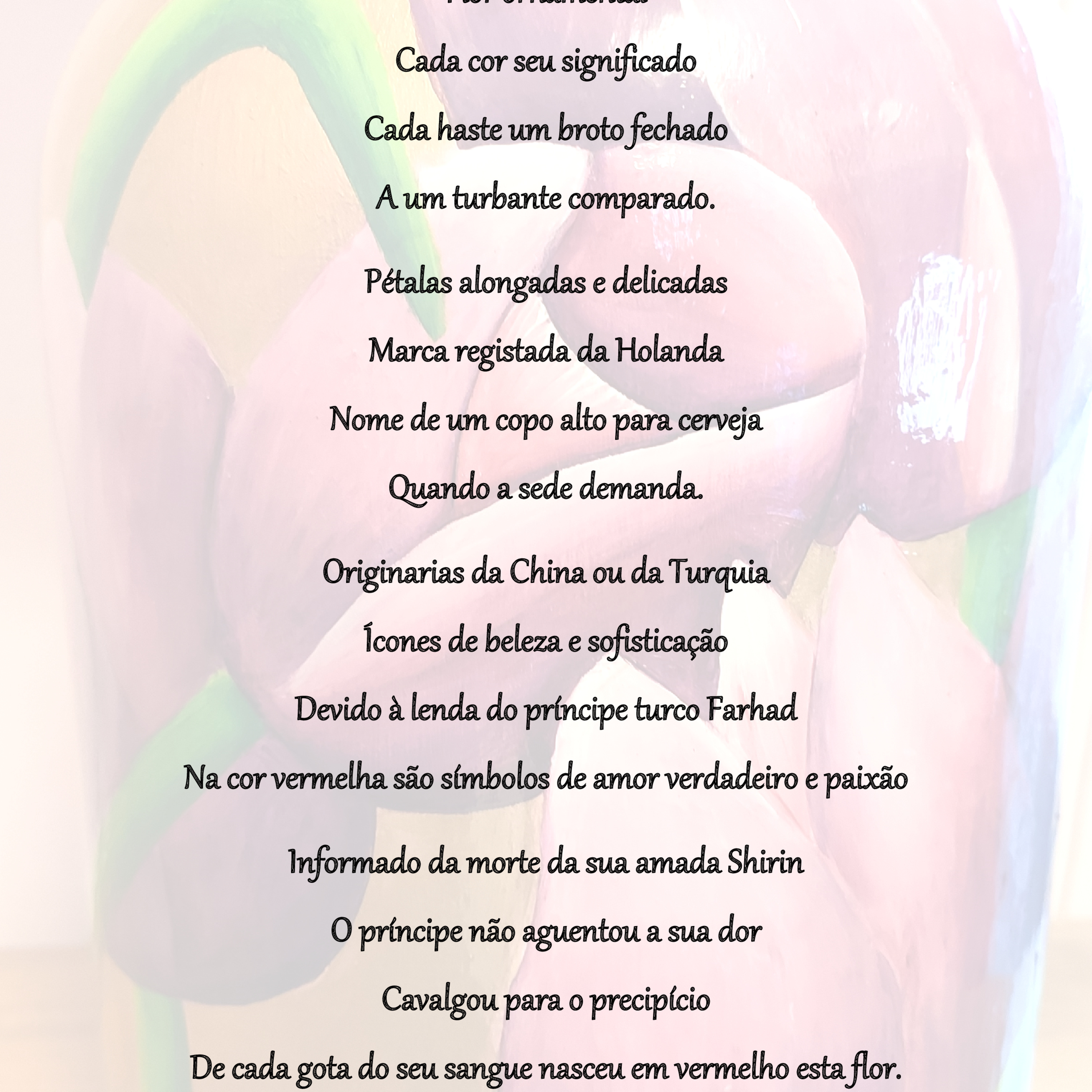 Poesias da Nonô - Nonô Poetry