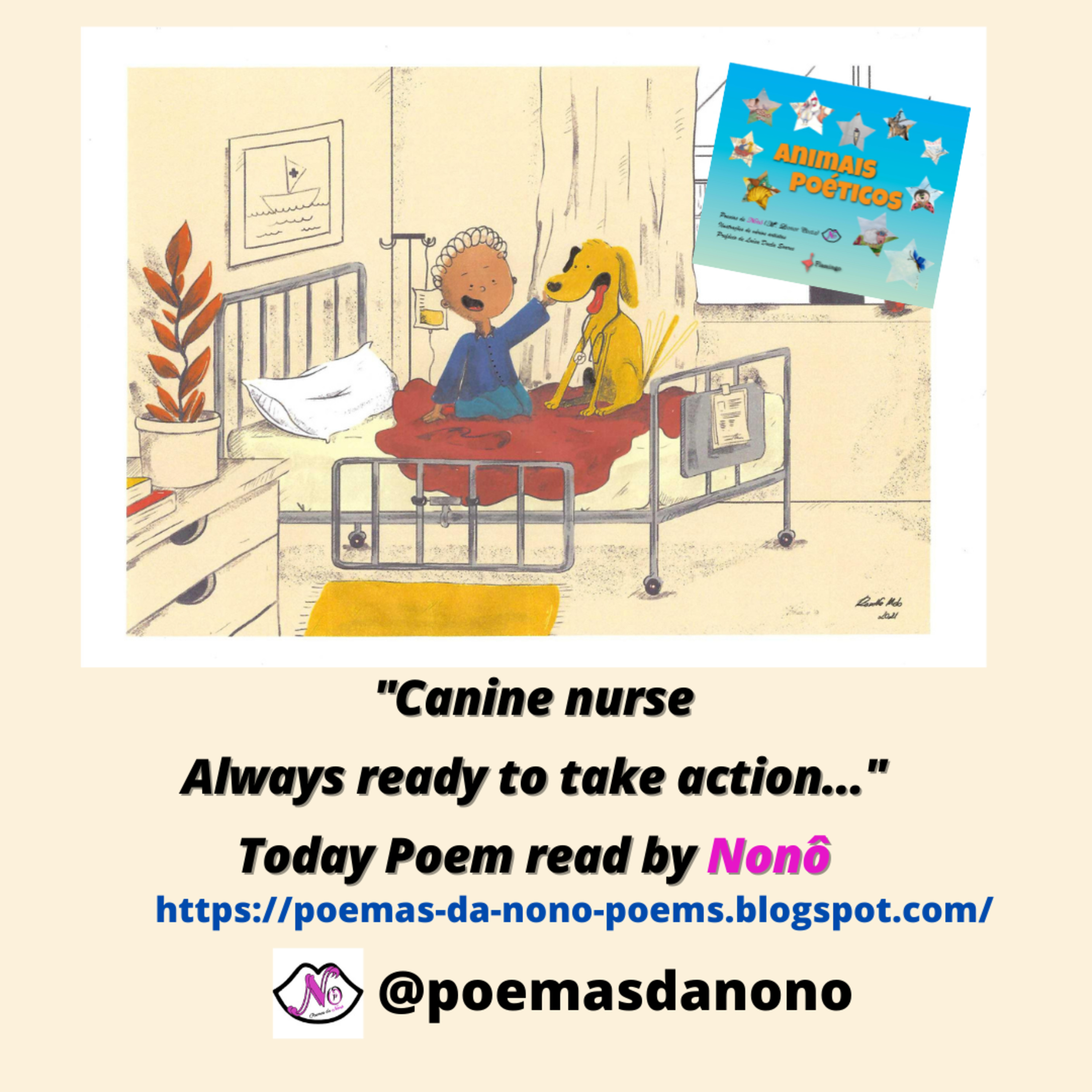 Poesias da Nonô - Nonô Poetry
