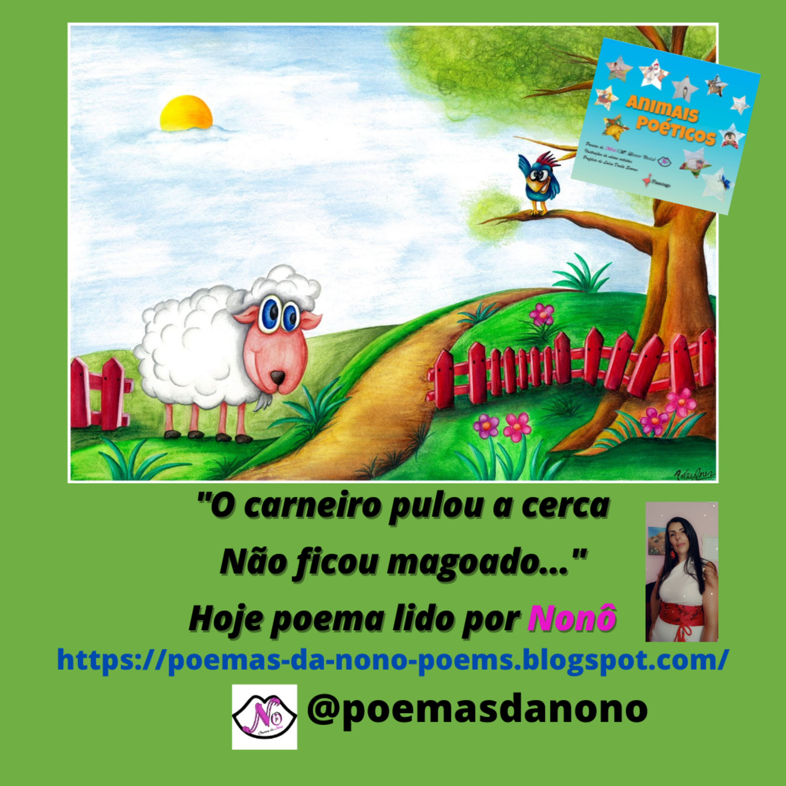Poesias da Nonô - Nonô Poetry