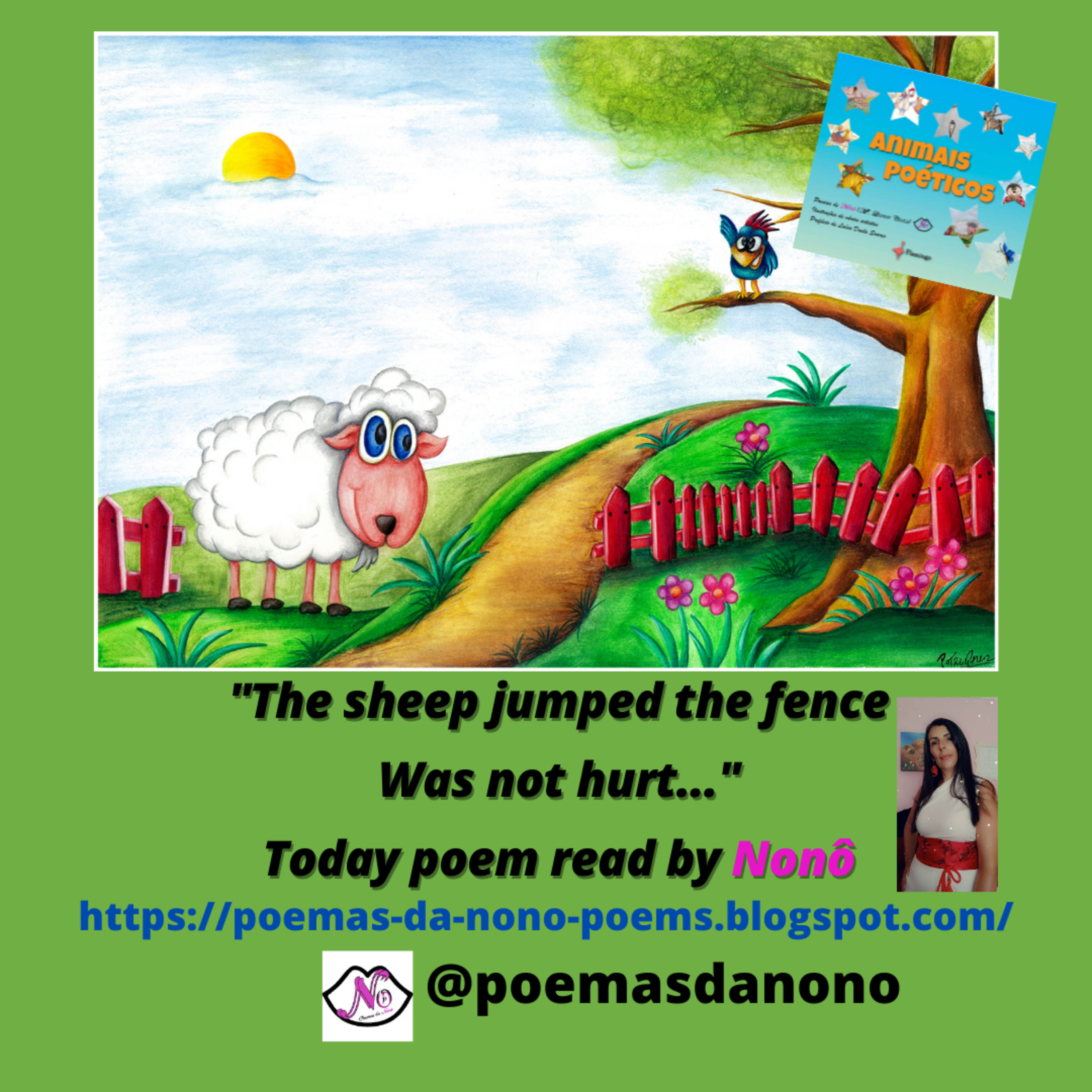 Poesias da Nonô - Nonô Poetry