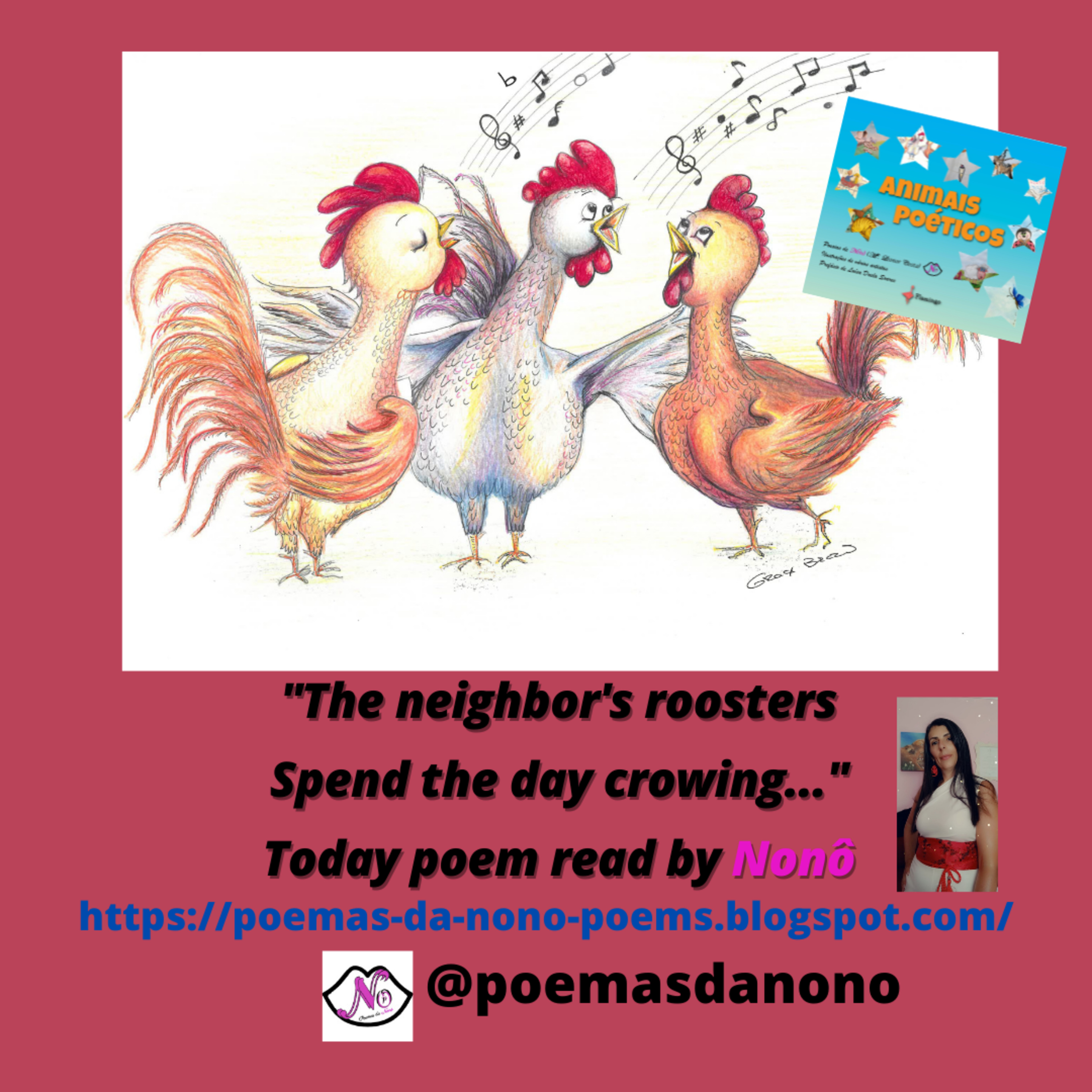 Poesias da Nonô - Nonô Poetry