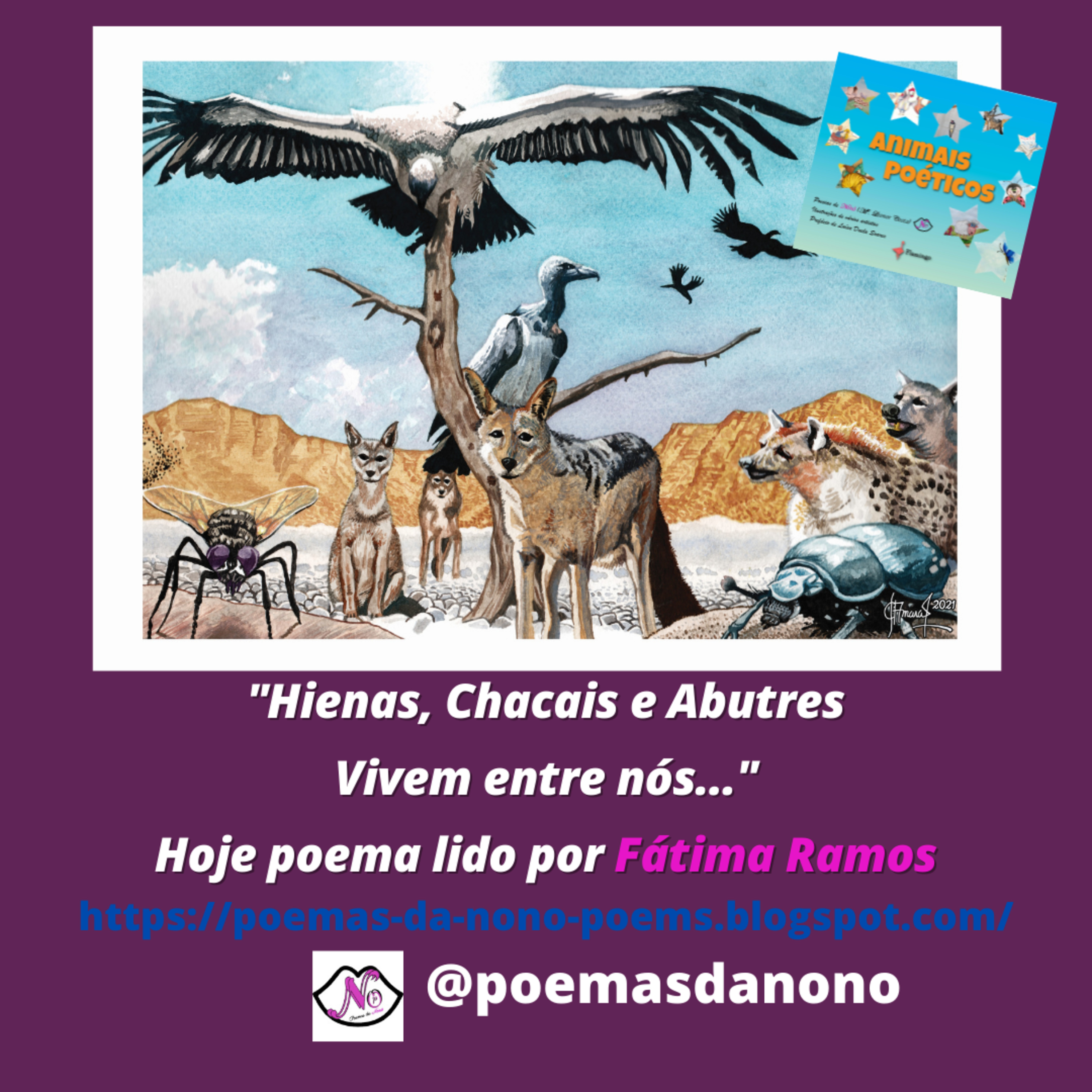 Poesias da Nonô - Nonô Poetry