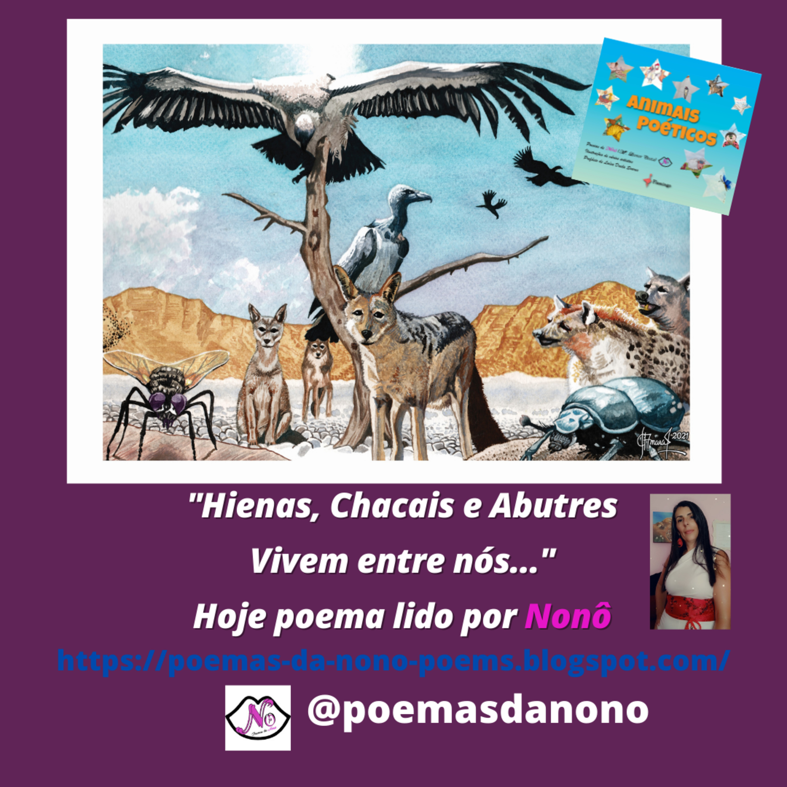 Poesias da Nonô - Nonô Poetry