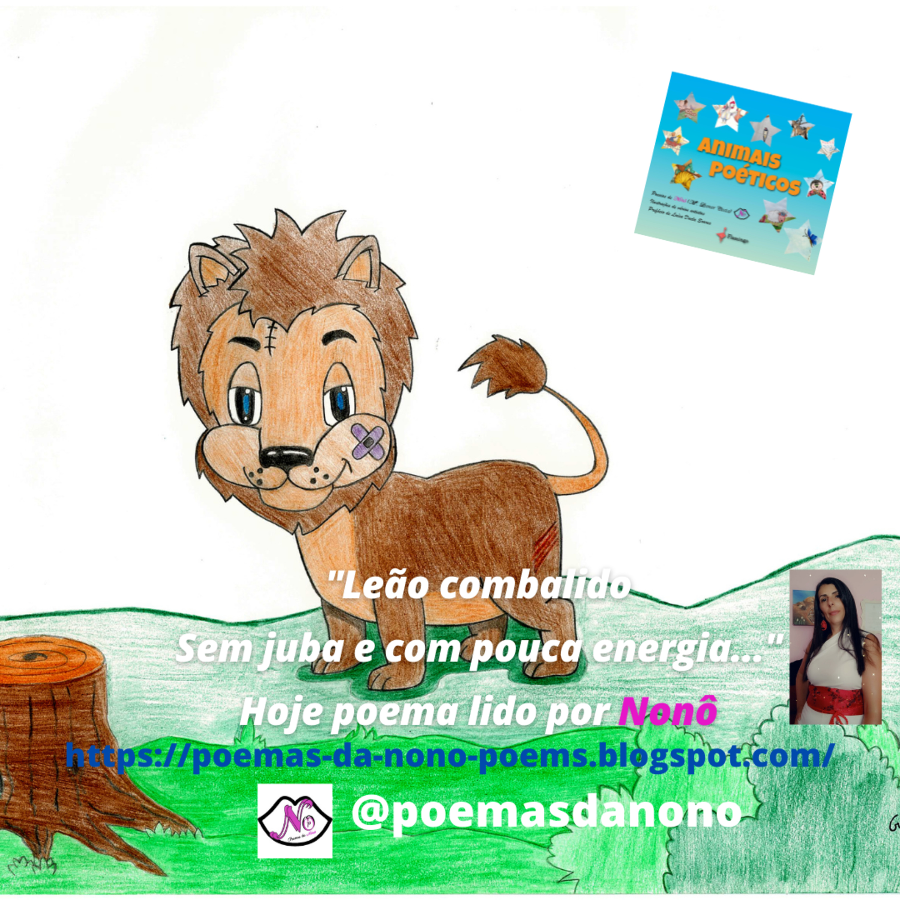 Poesias da Nonô - Nonô Poetry