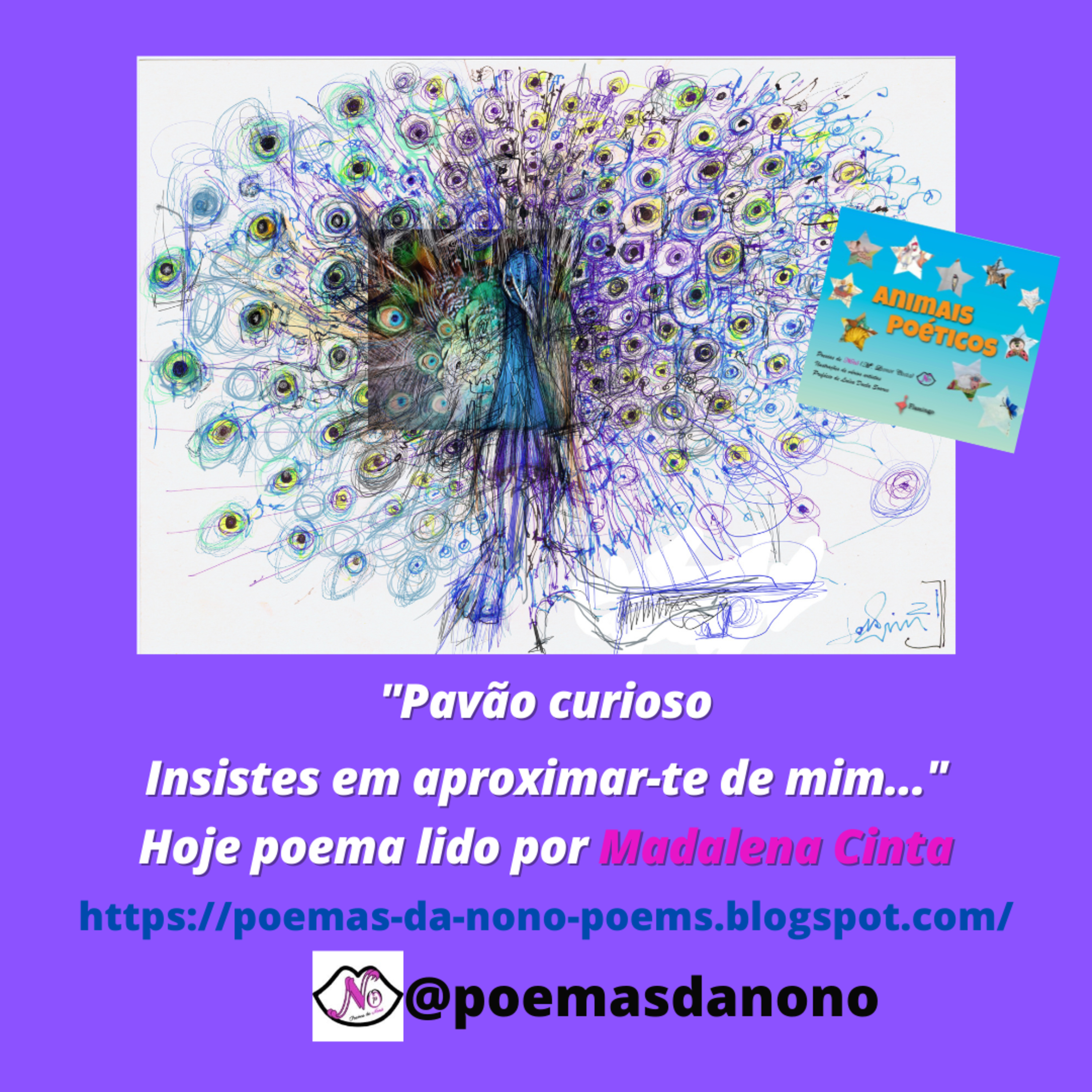 Poesias da Nonô - Nonô Poetry