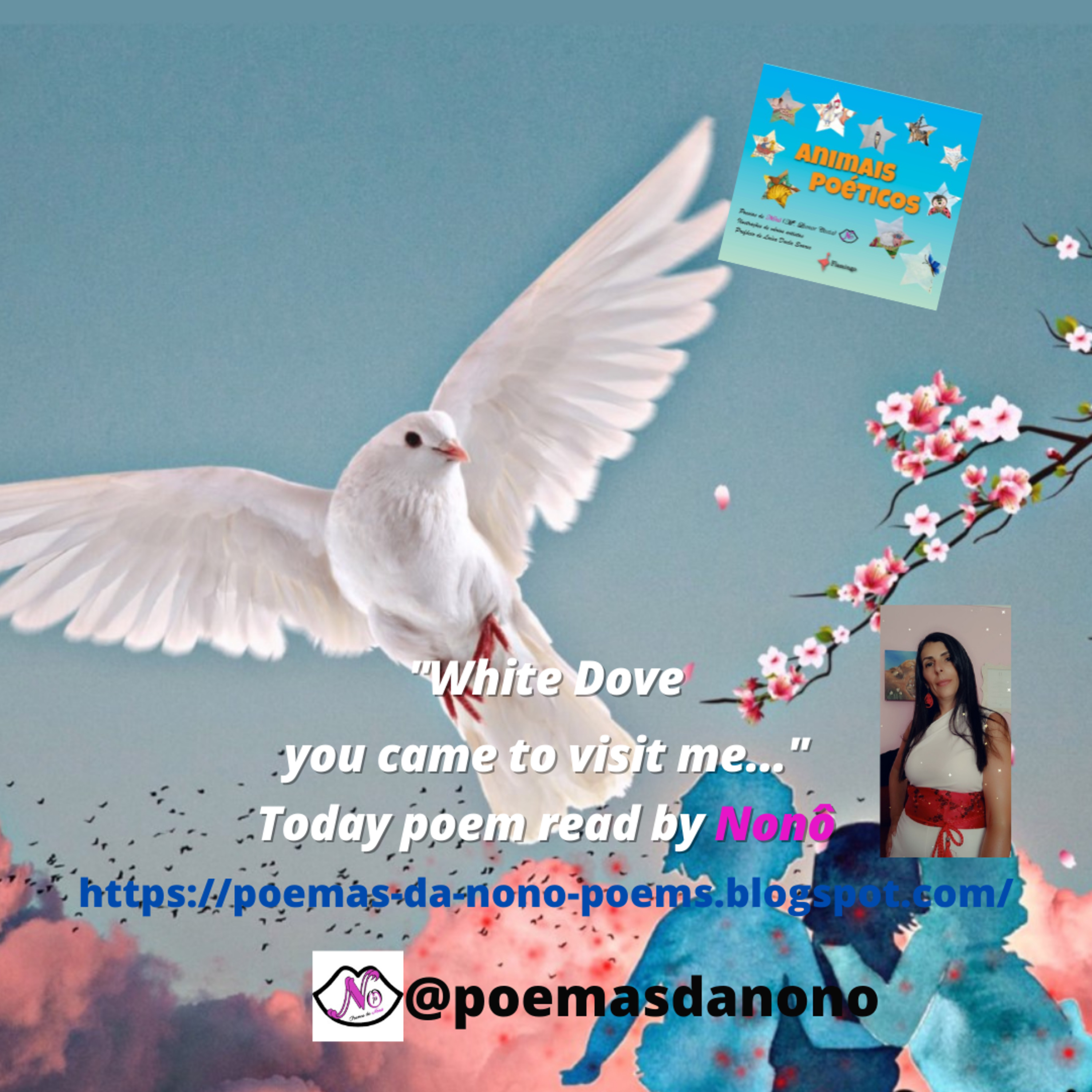 Poesias da Nonô - Nonô Poetry