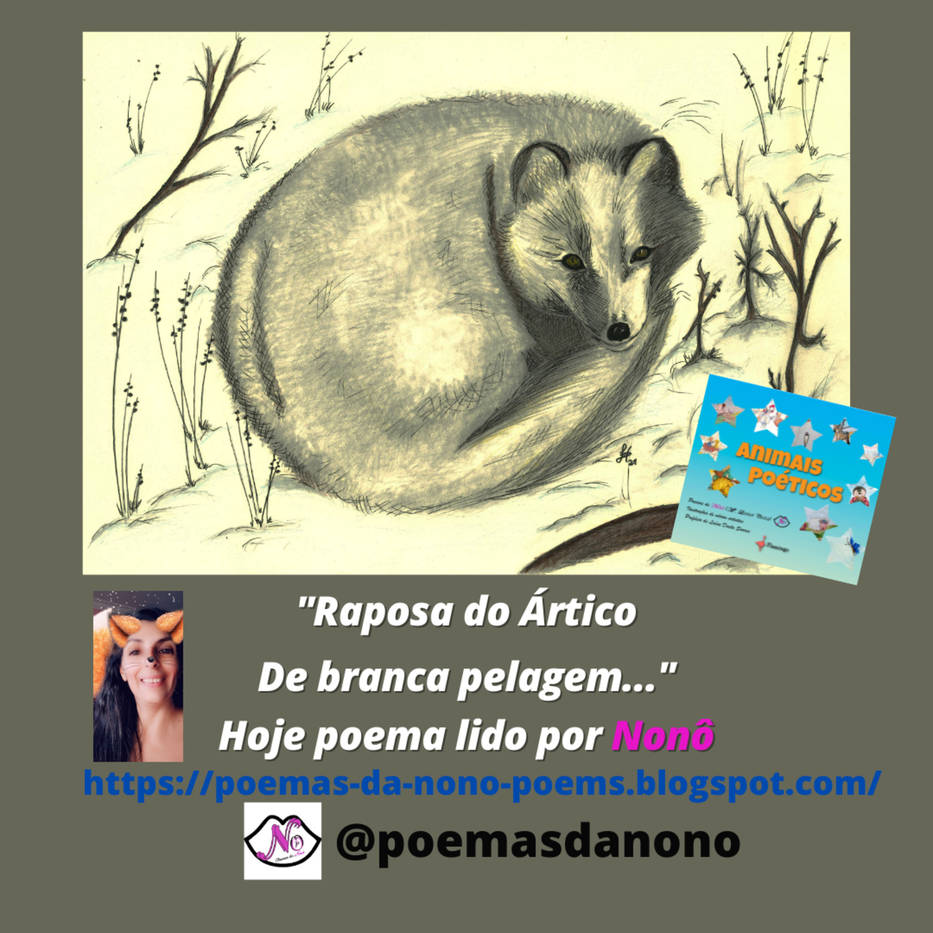 Poesias da Nonô - Nonô Poetry