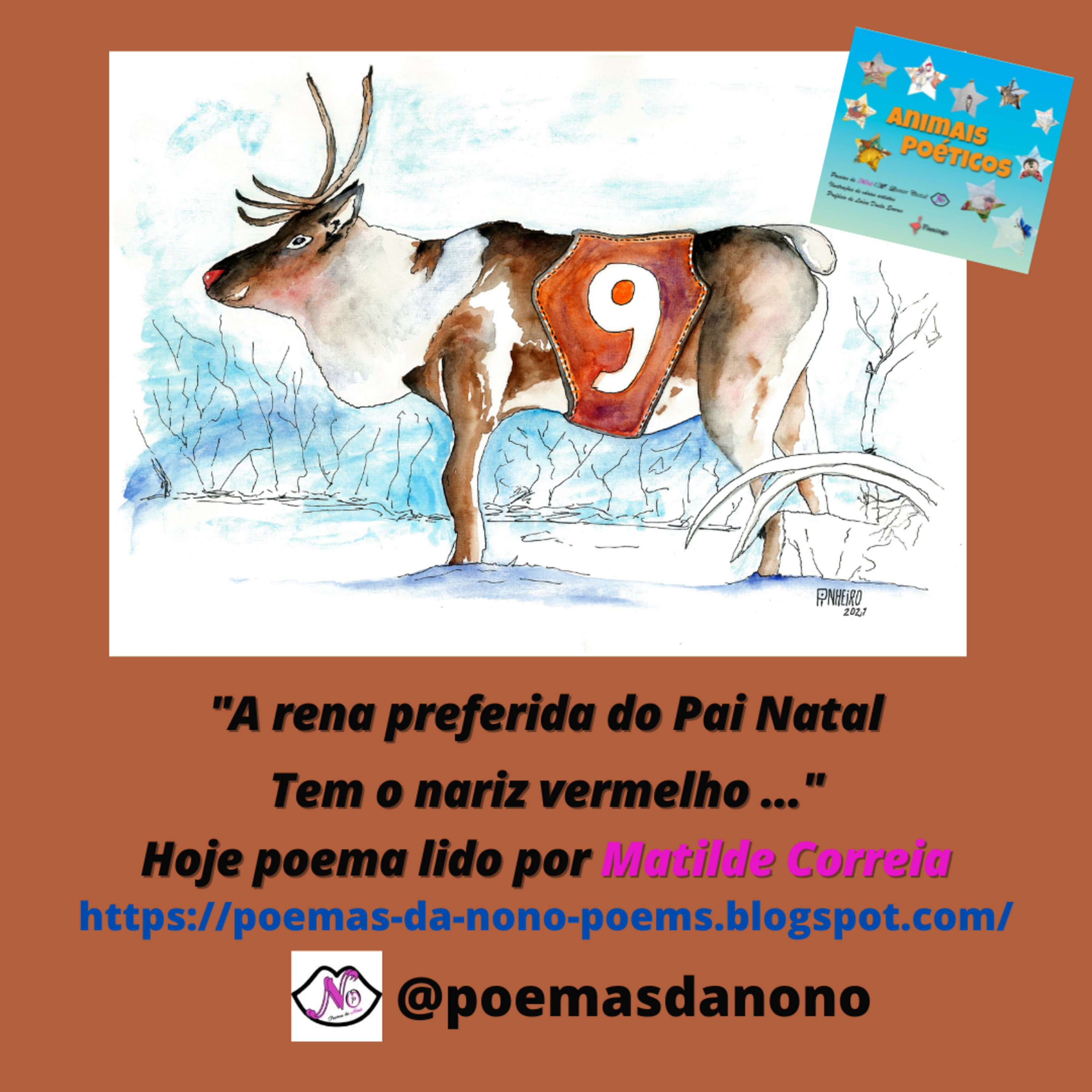 Poesias da Nonô - Nonô Poetry