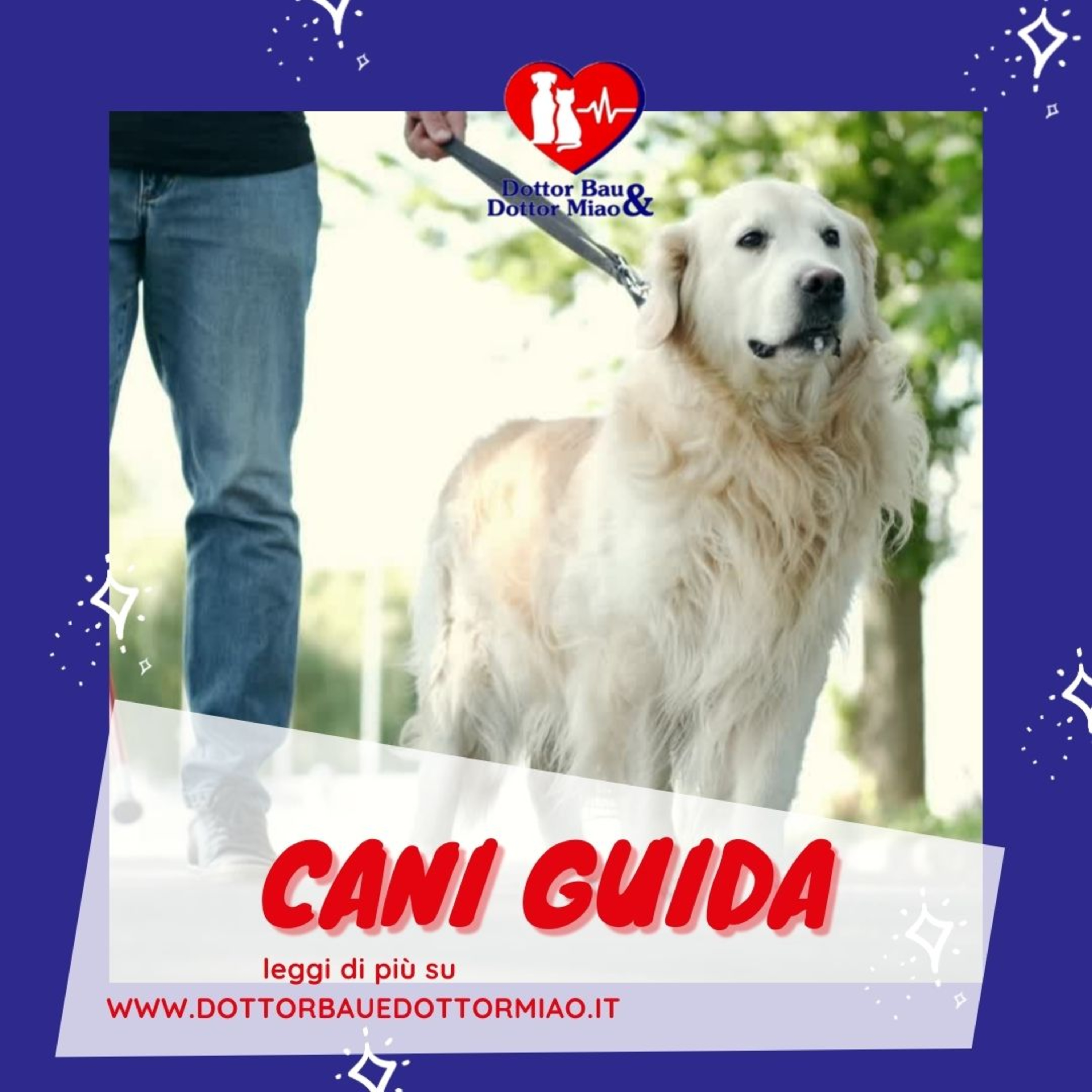 Cani Guida, non solo protesi. episode artwork
