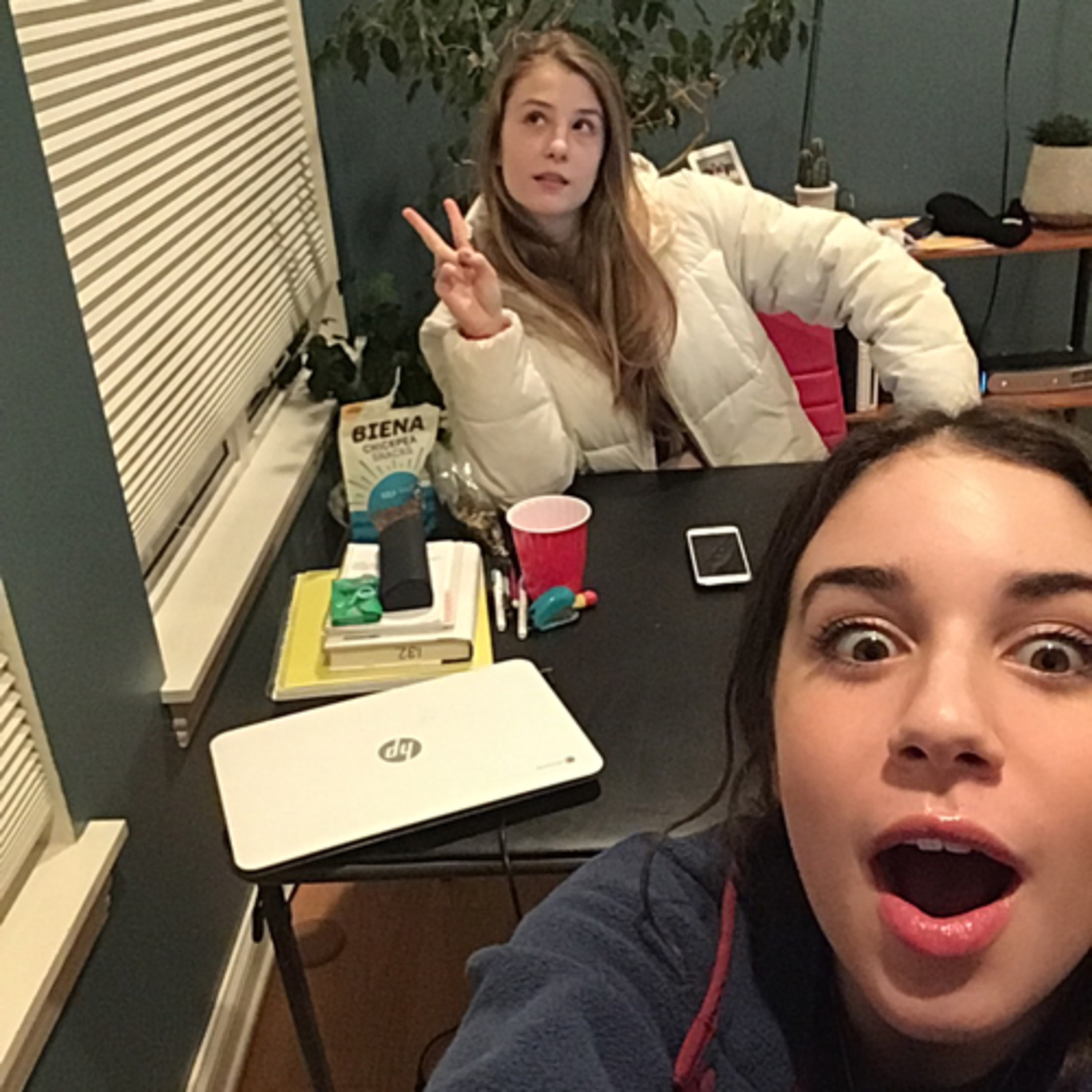 AP CompGov Podcast #2 CHINAAA