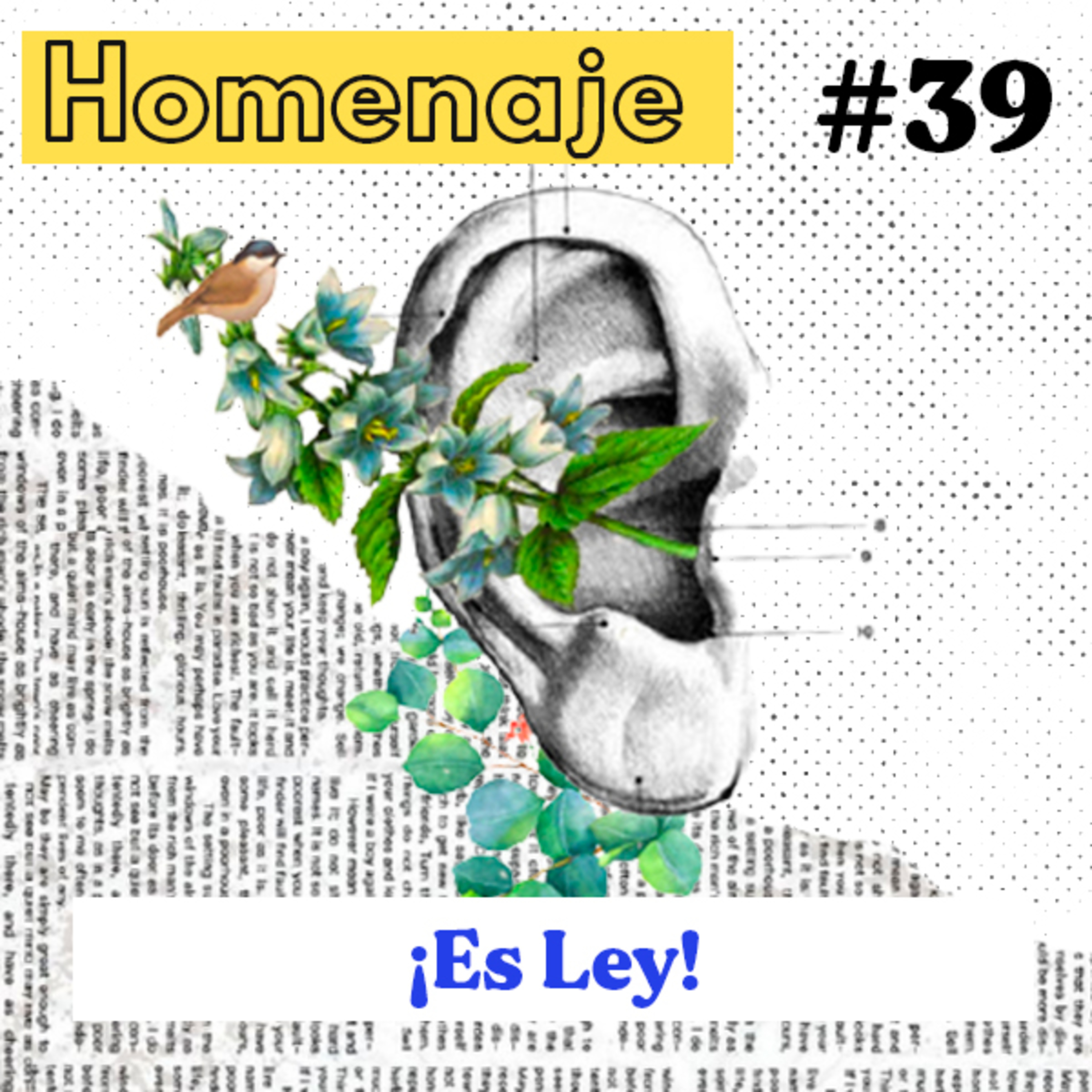 Feria de Besos | Homenaje #39 episode artwork