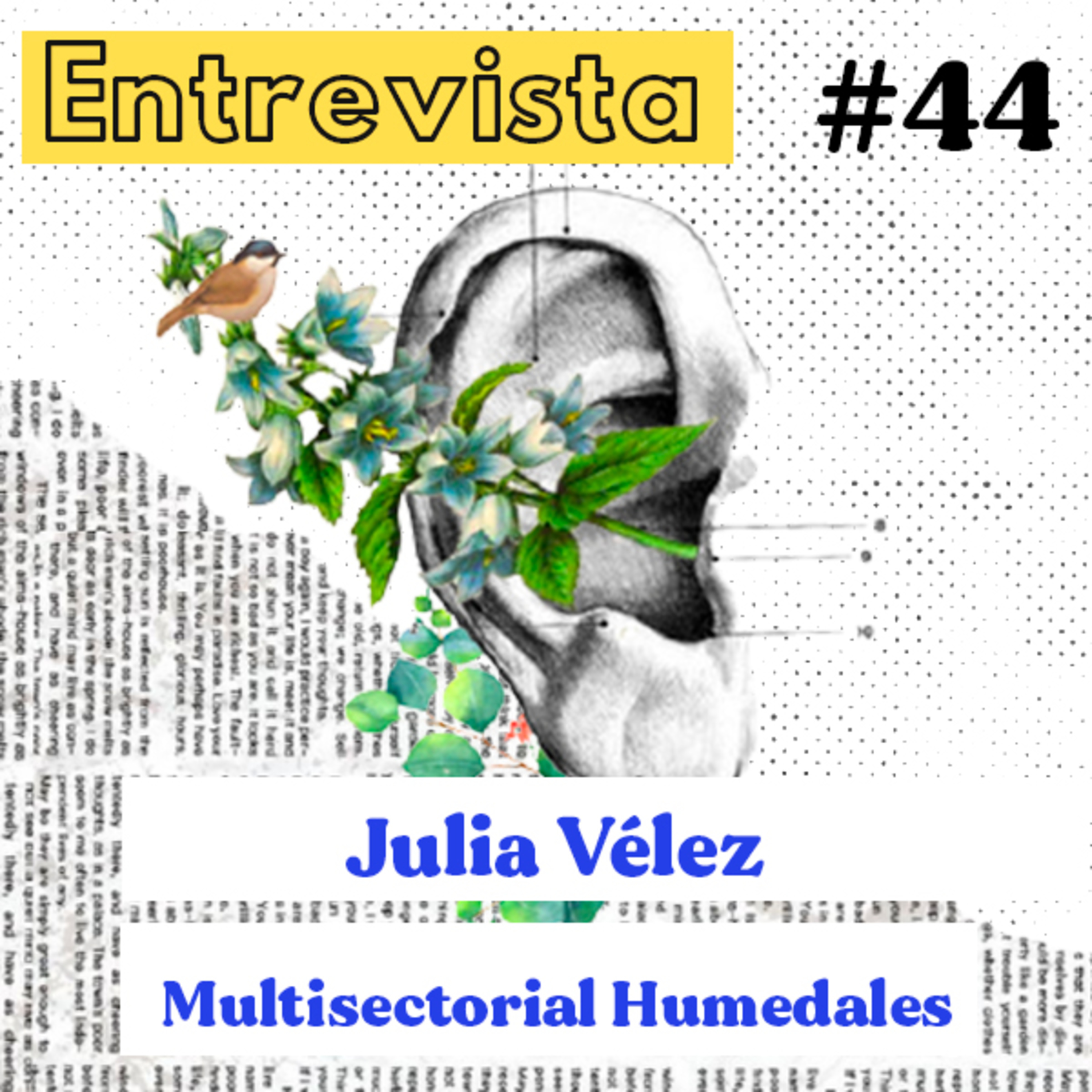 Feria de Besos | Entrevista #44 episode artwork