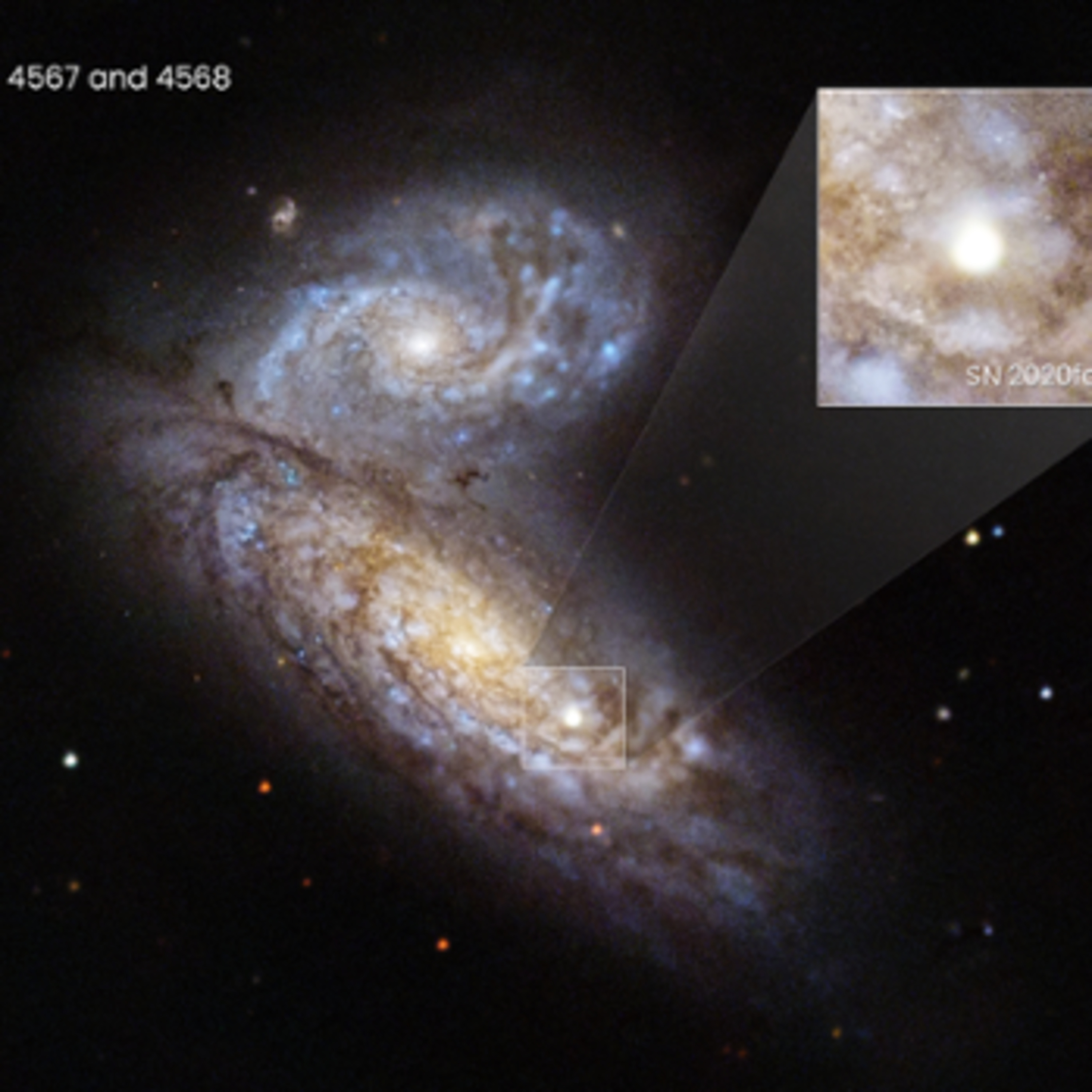 Skywatcher Leo T