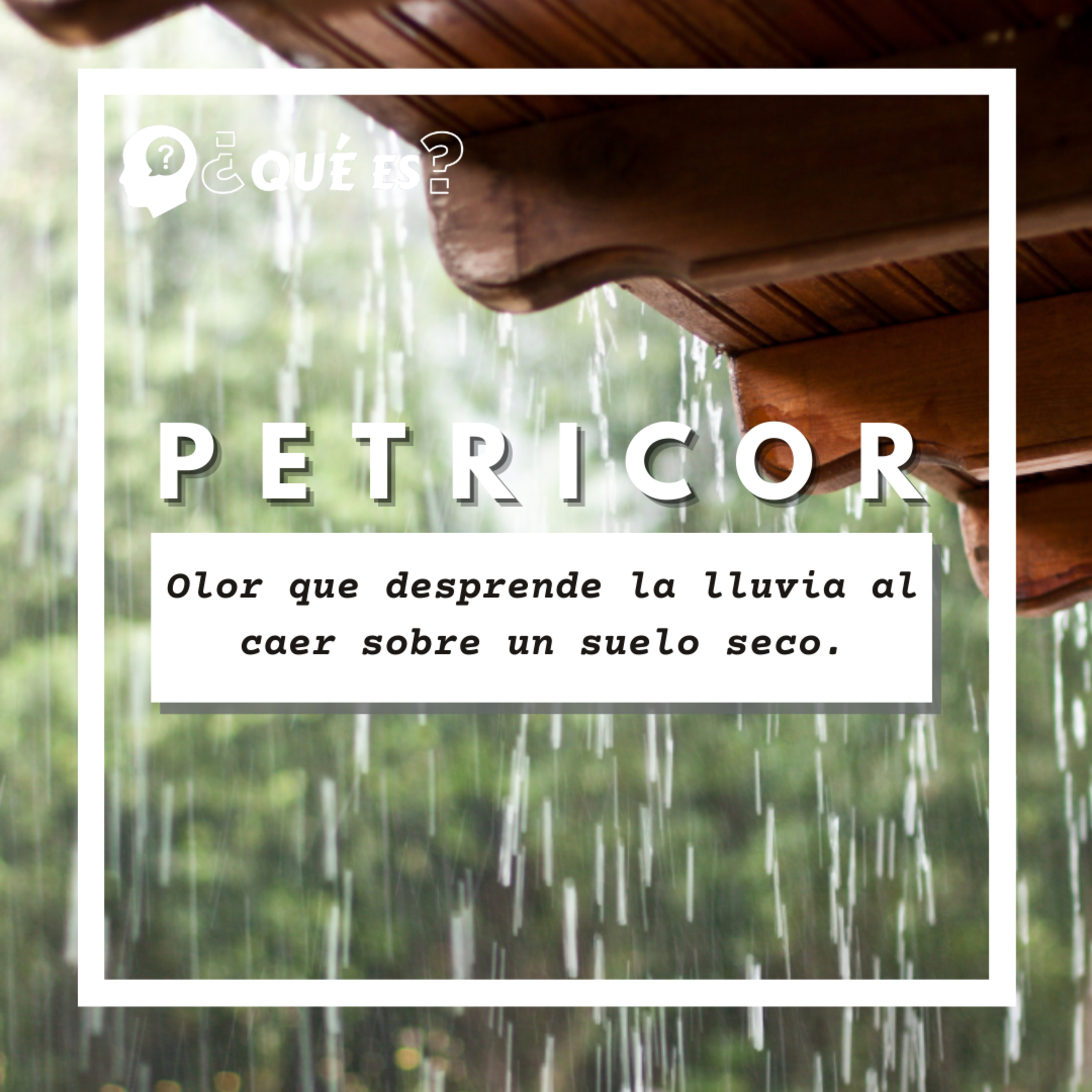 ¿Qué es?