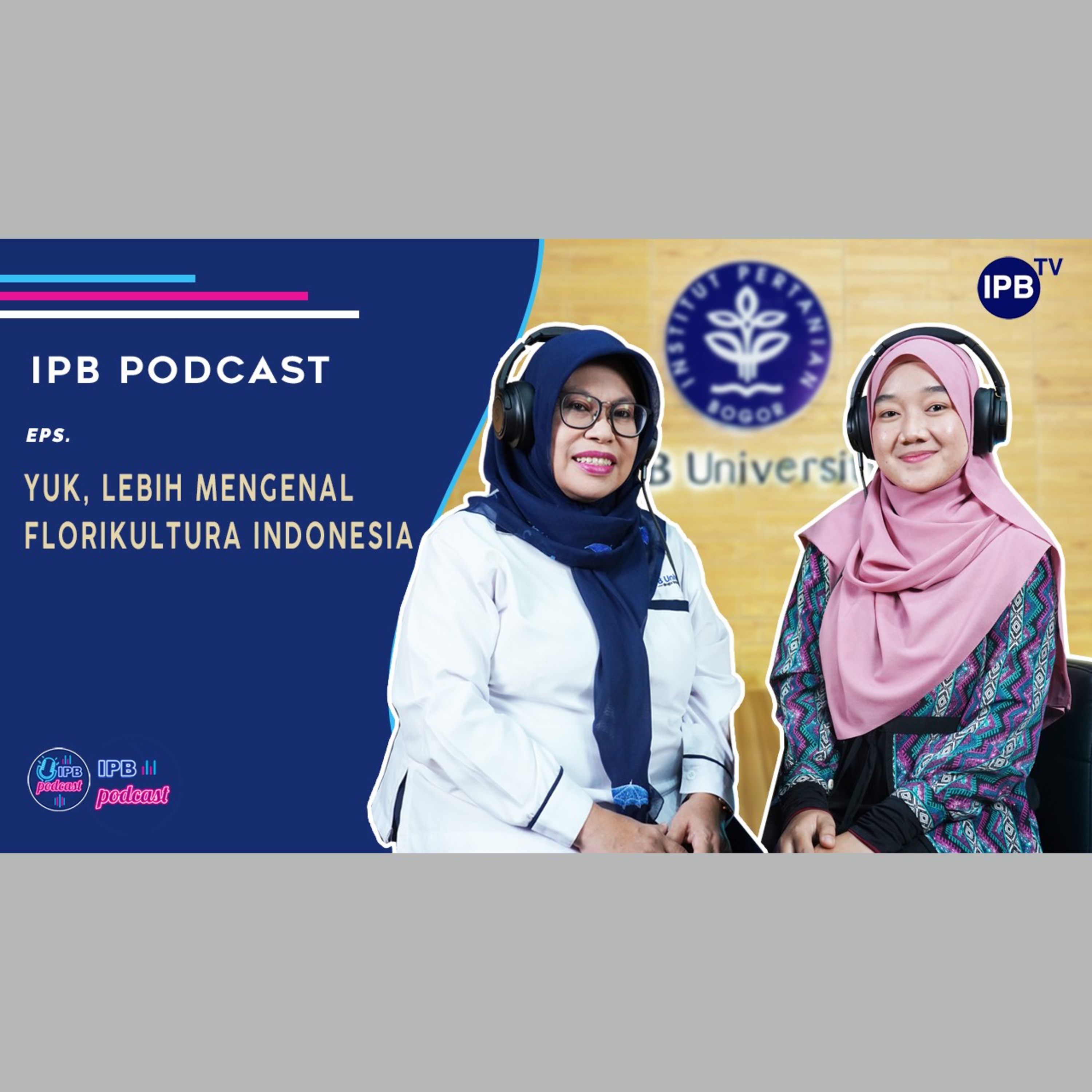 IPB Podcast