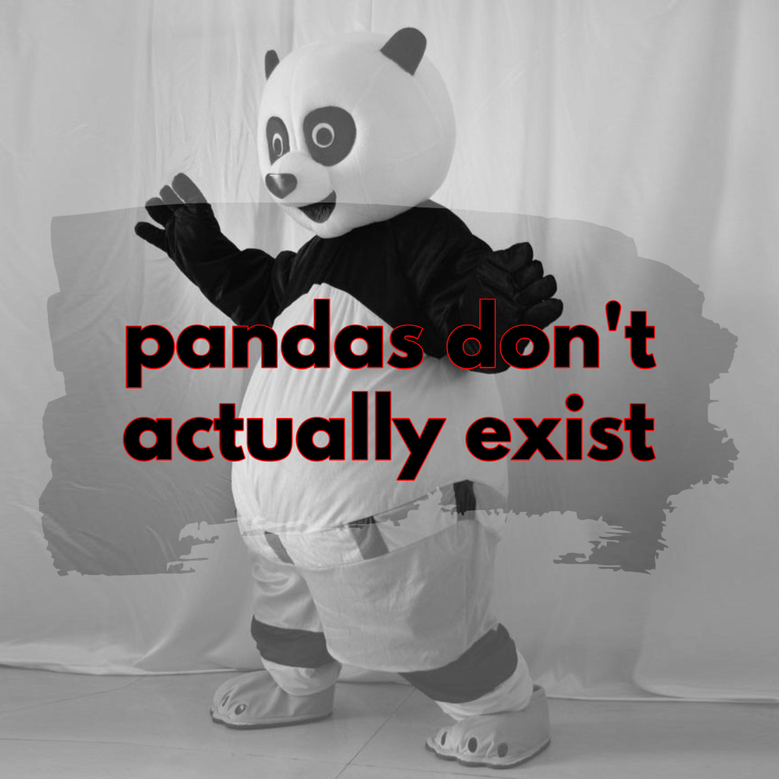 pandas don't actually exist episode artwork