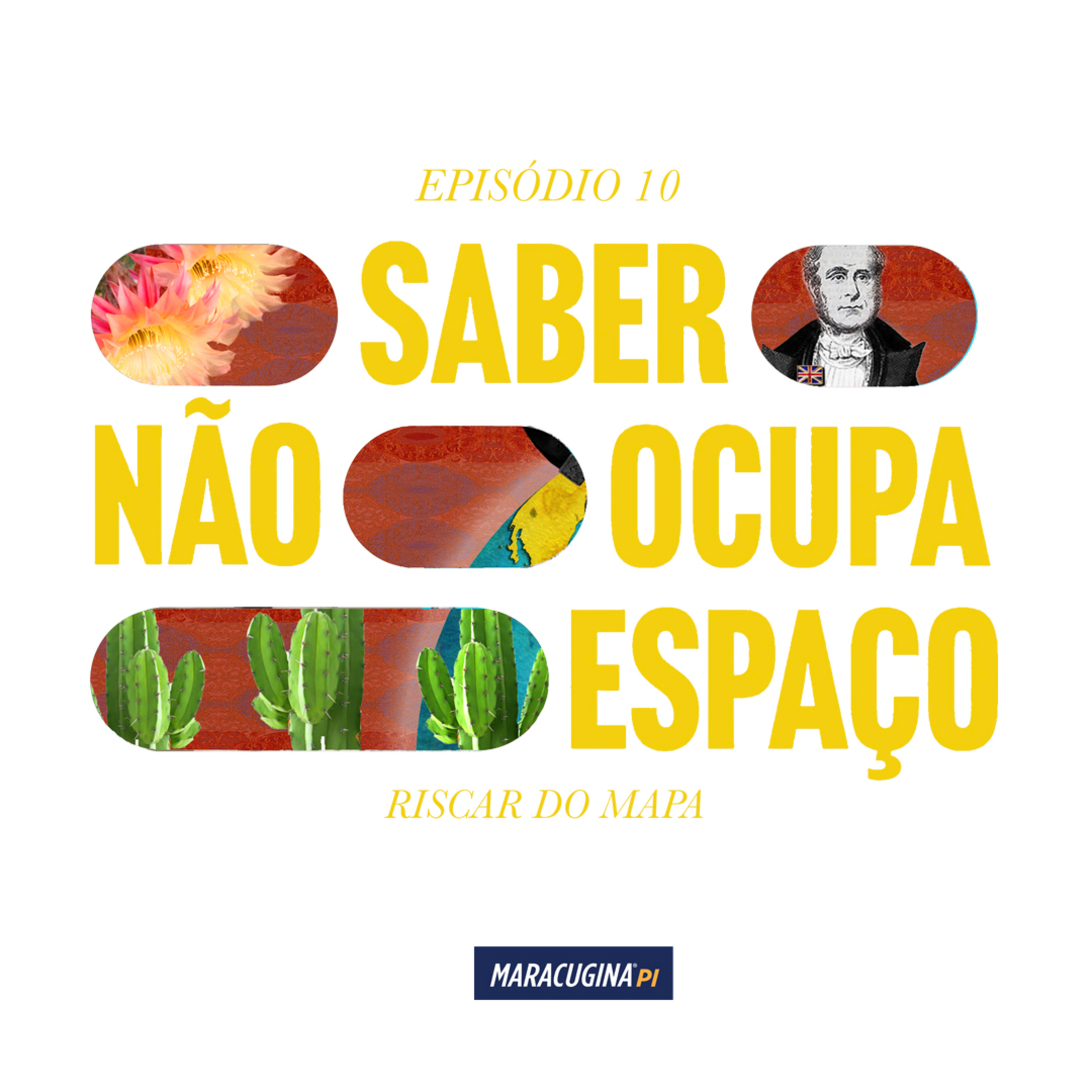 Saber Não Ocupa Espaço