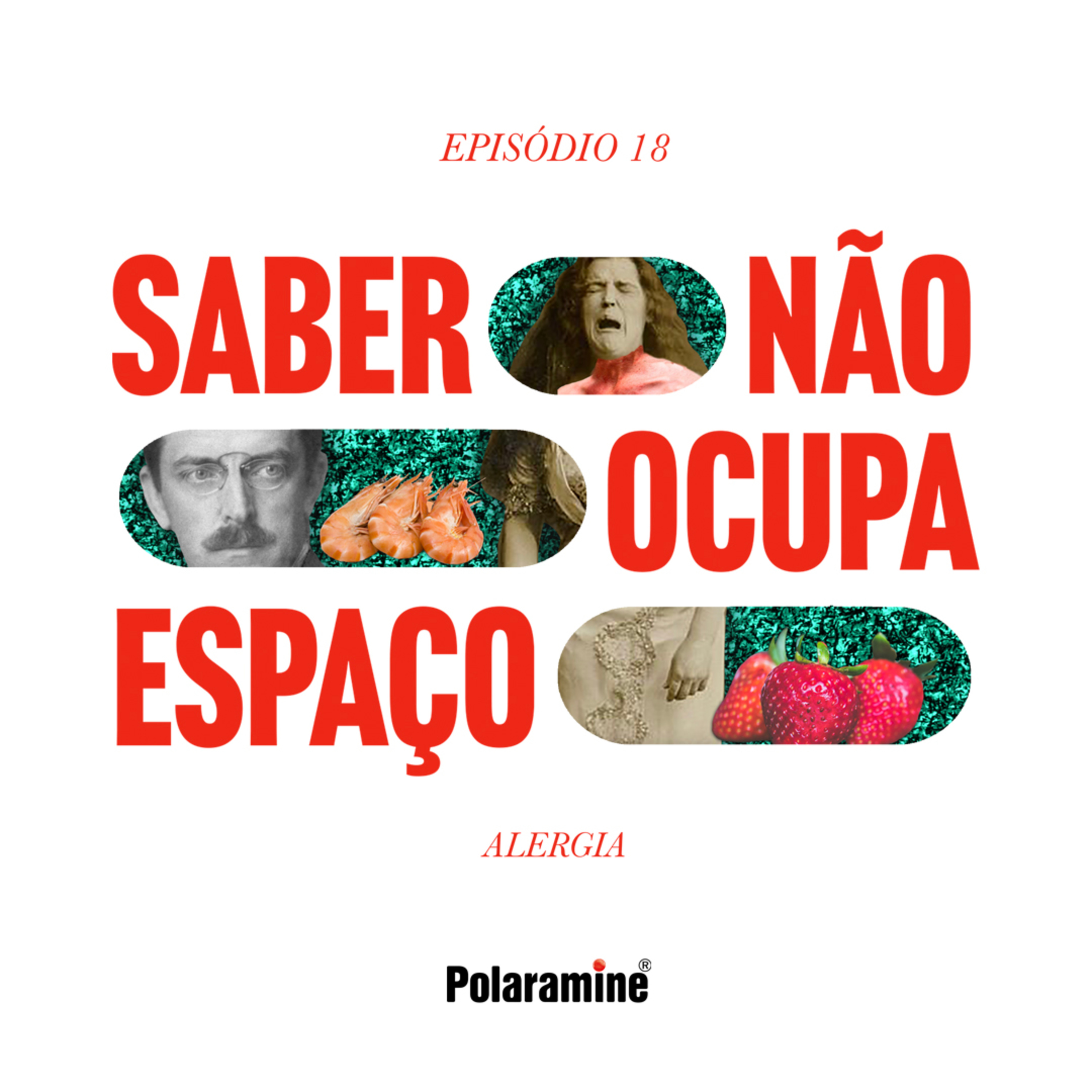 Saber Não Ocupa Espaço