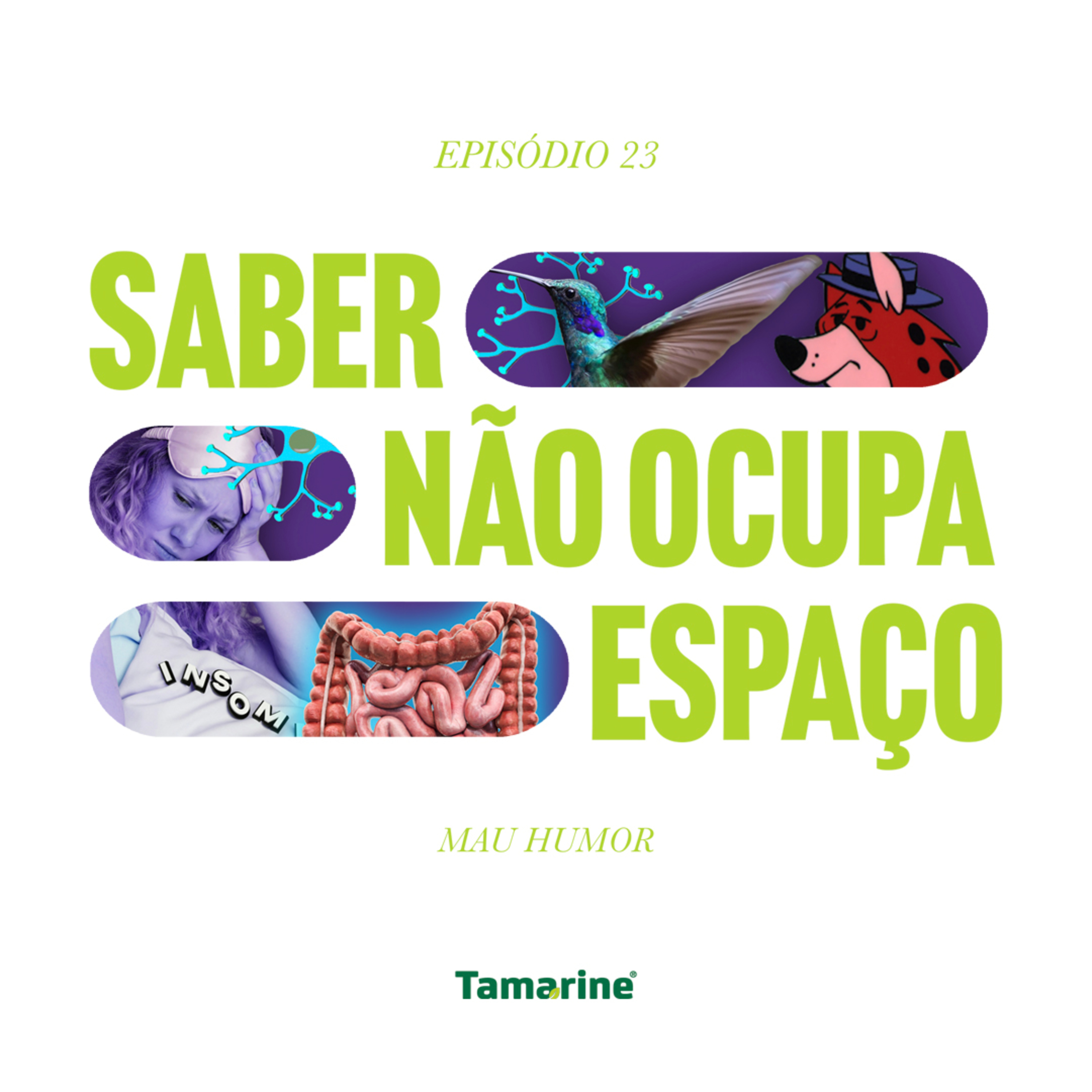 Saber Não Ocupa Espaço