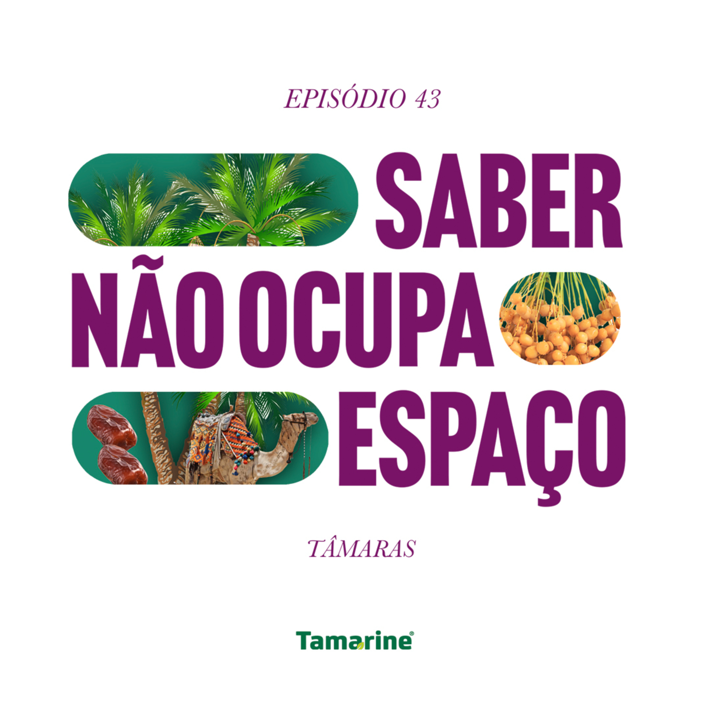 Saber Não Ocupa Espaço