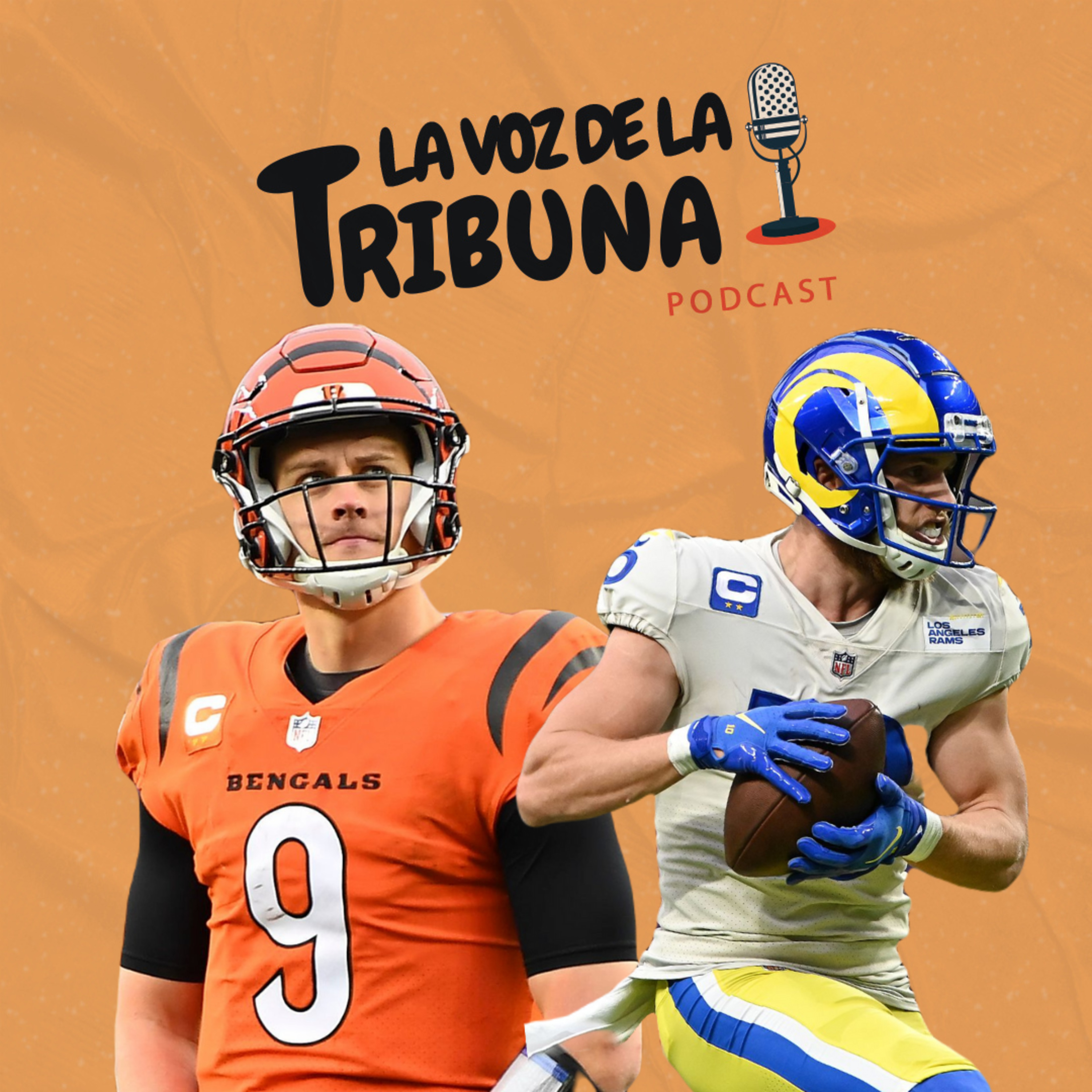 La Voz de la Tribuna