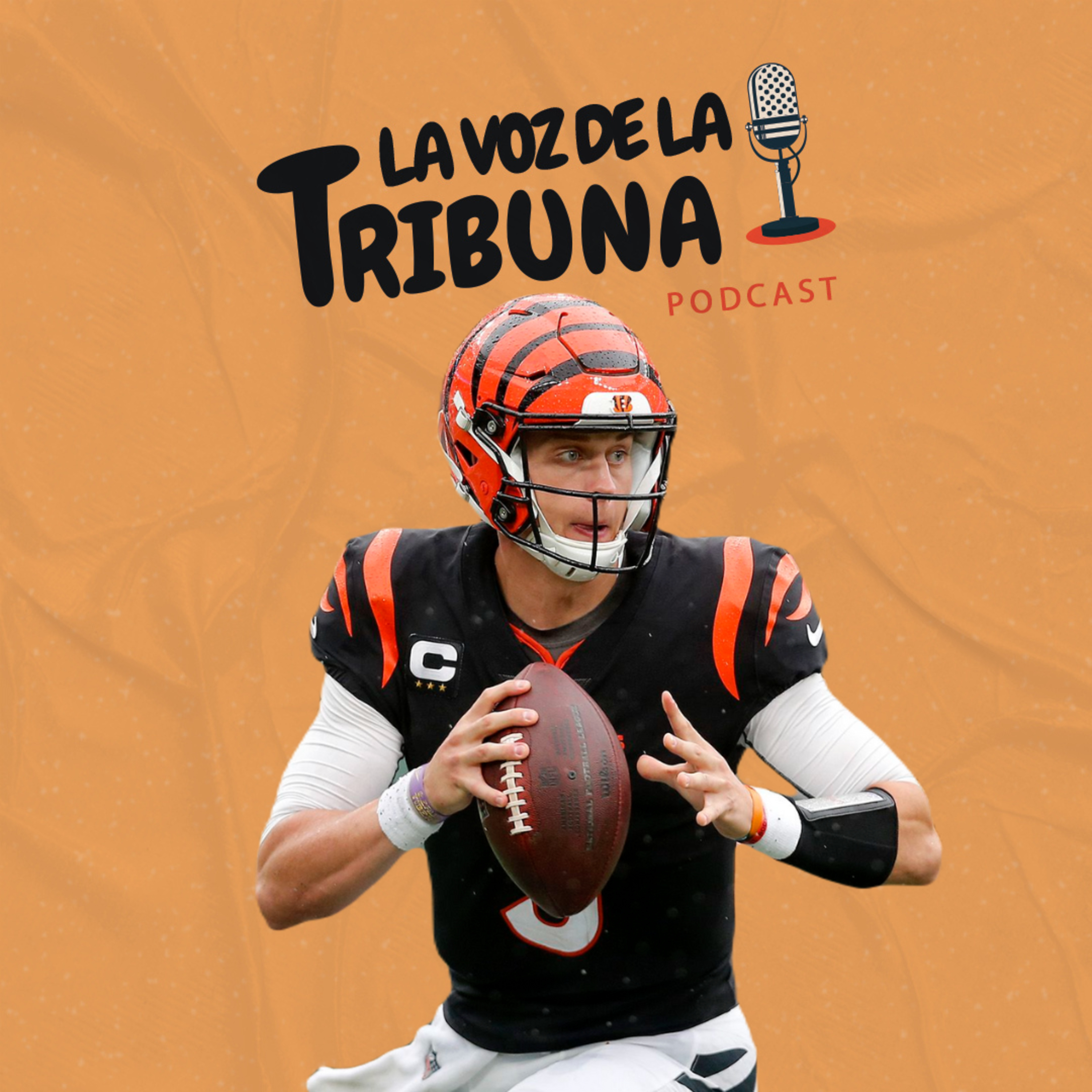 La Voz de la Tribuna