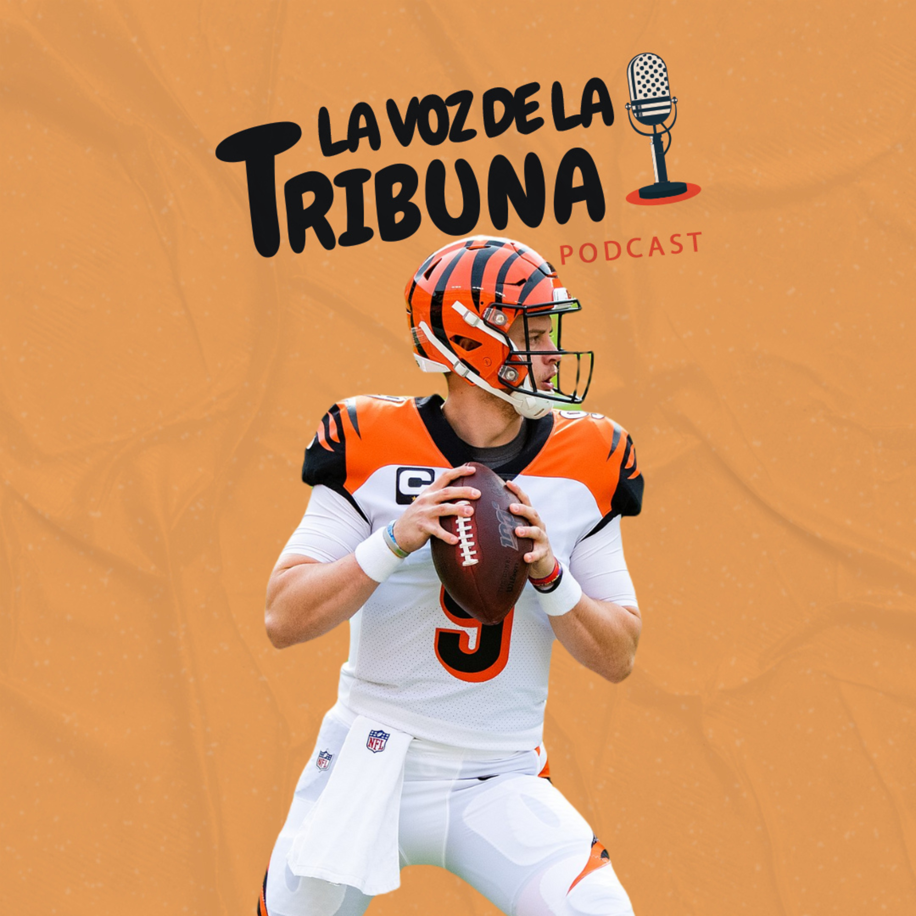 La Voz de la Tribuna