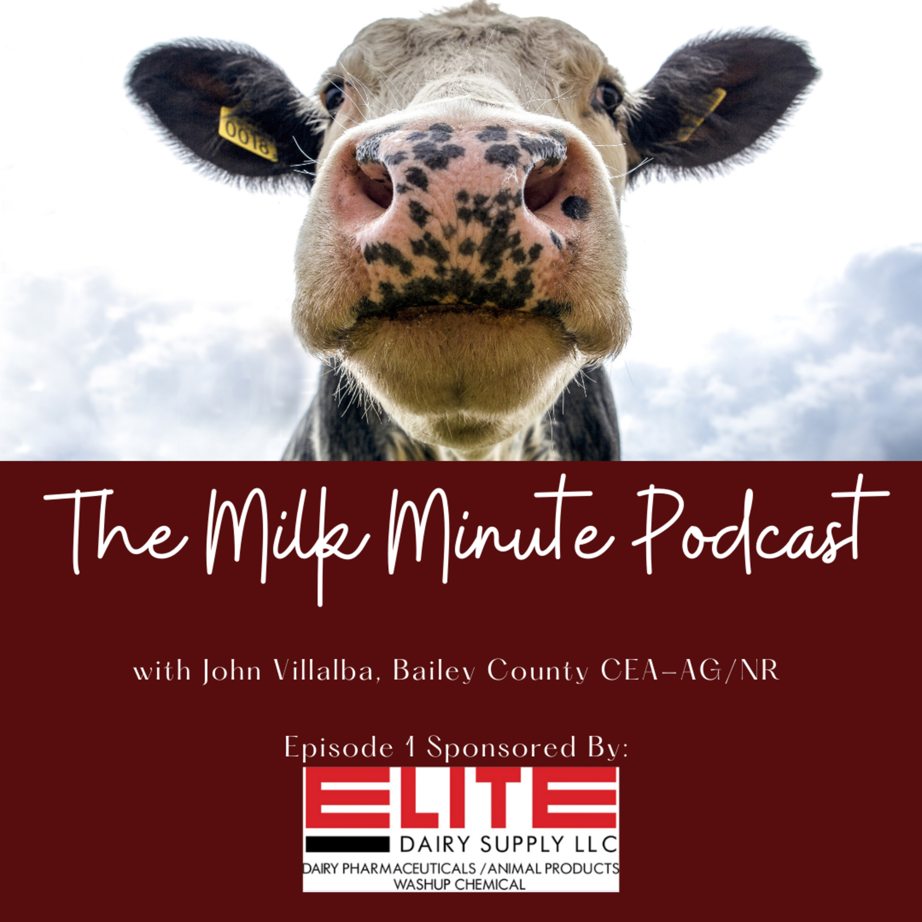 The Milk Minute Dairy Podcast