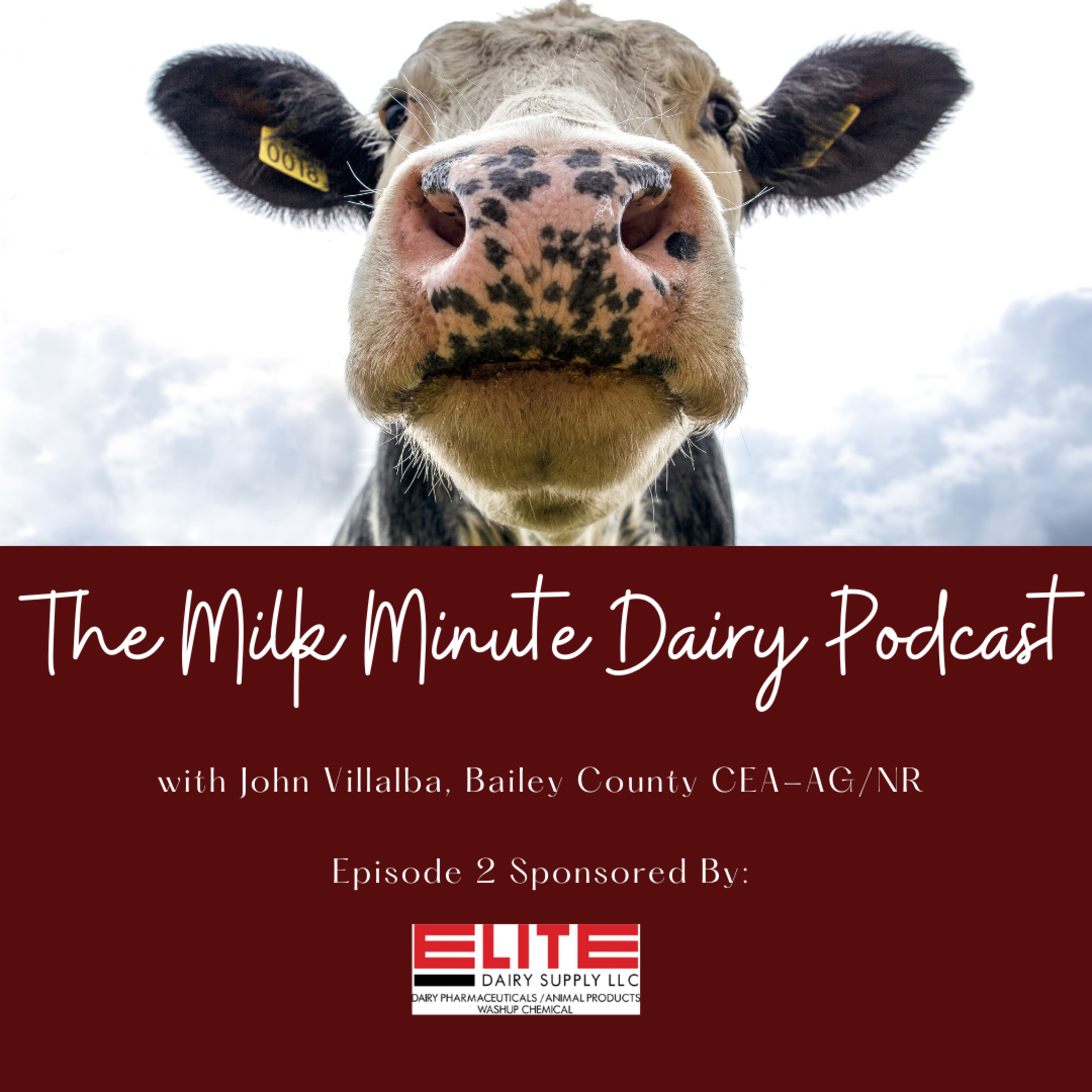 The Milk Minute Dairy Podcast