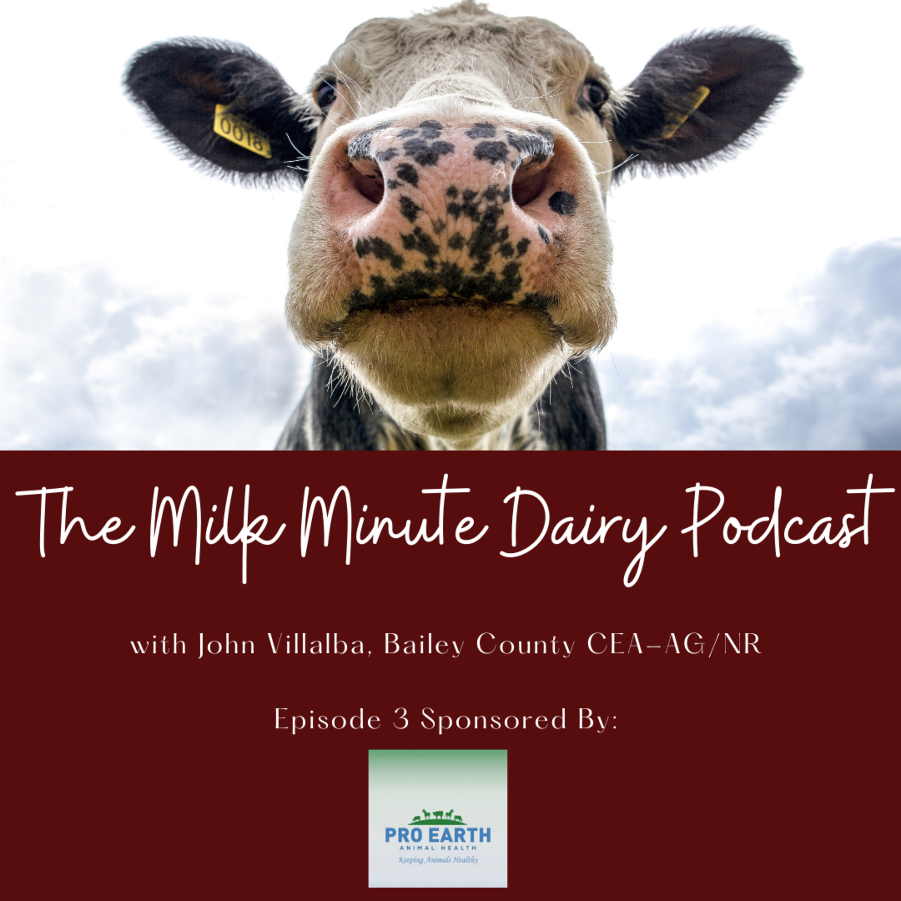 The Milk Minute Dairy Podcast