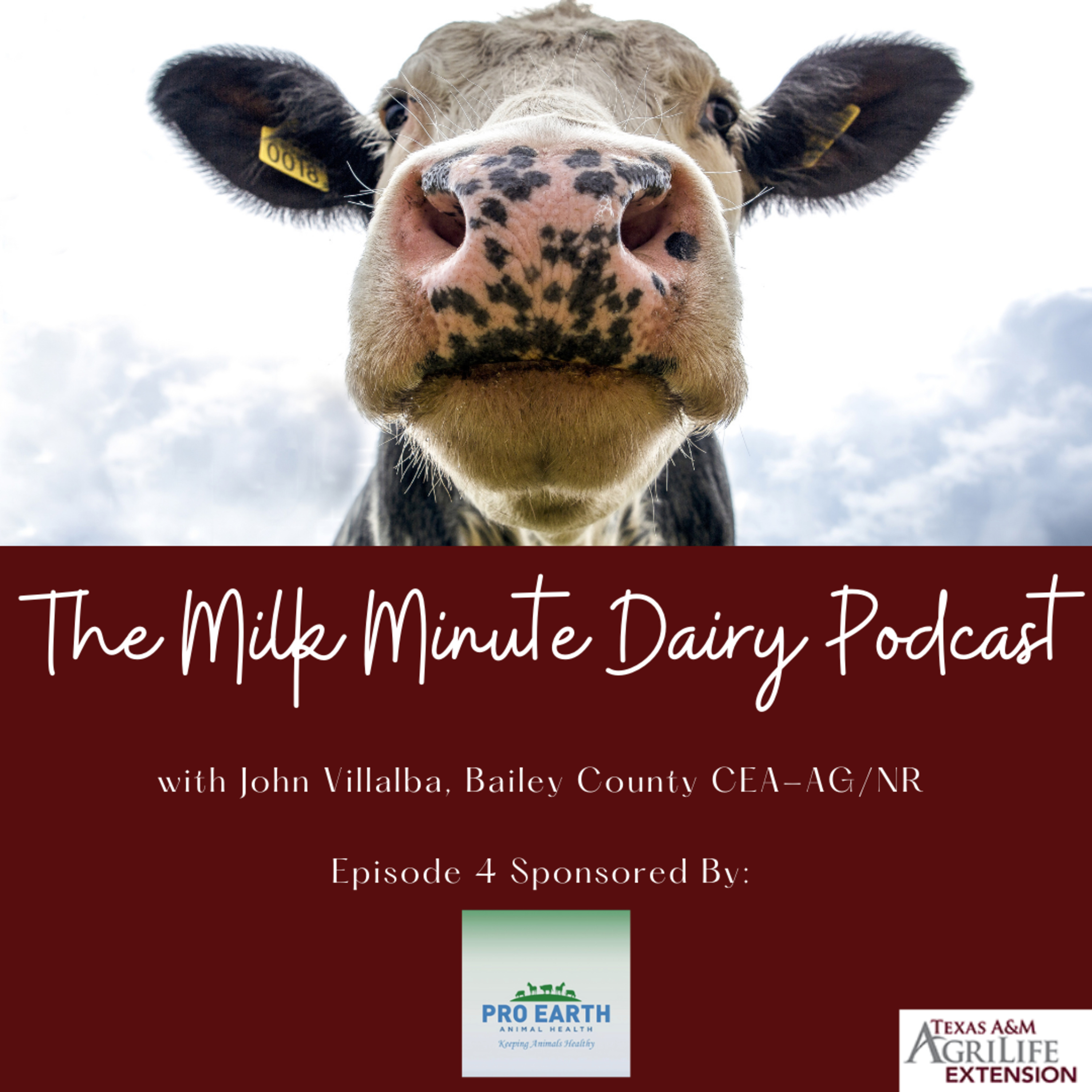 The Milk Minute Dairy Podcast