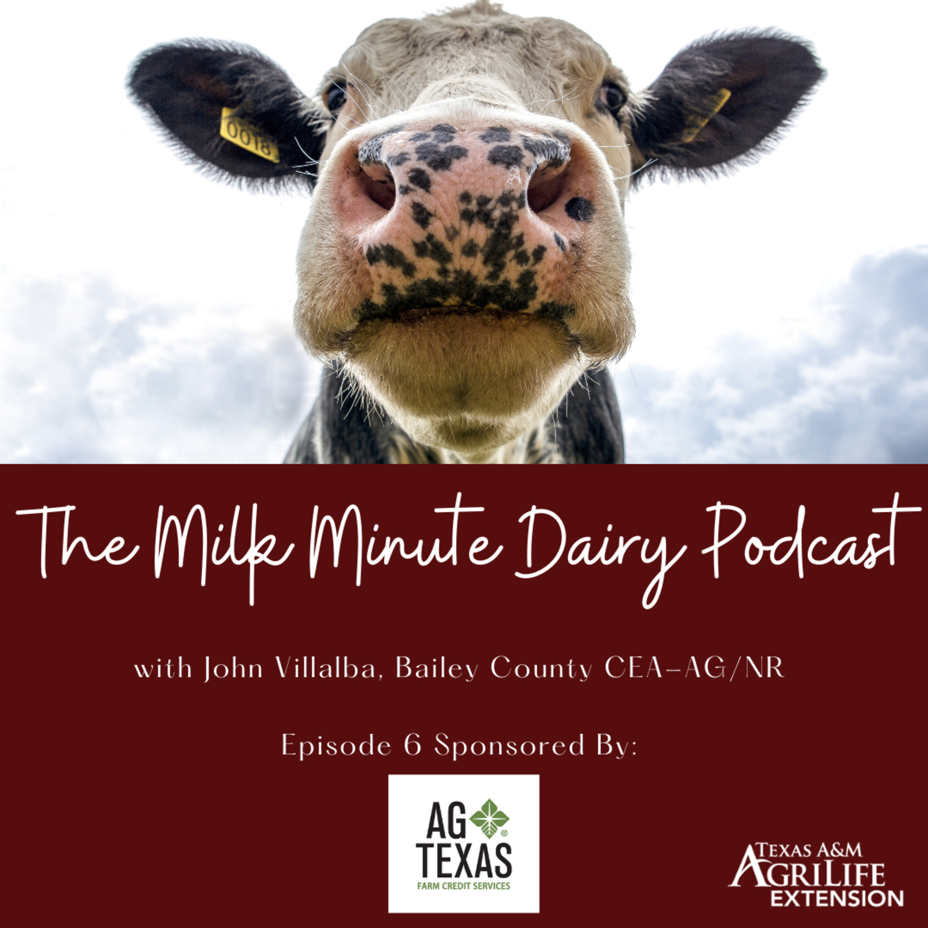 The Milk Minute Dairy Podcast