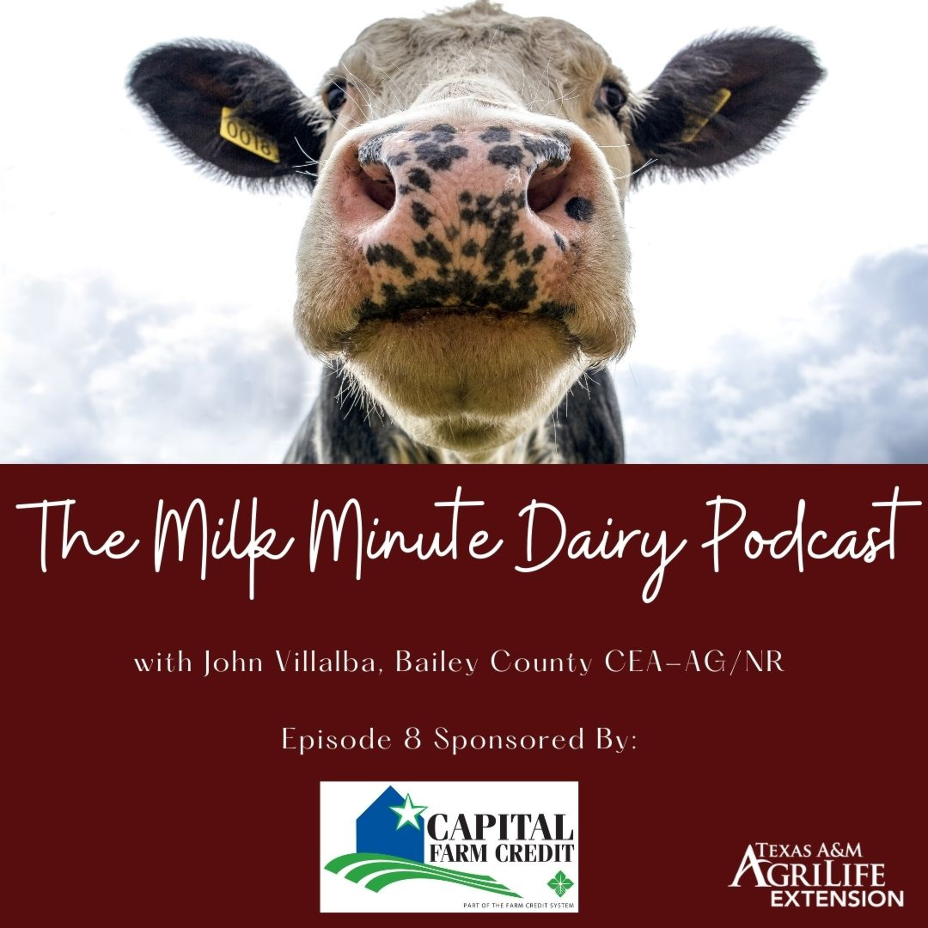 The Milk Minute Dairy Podcast