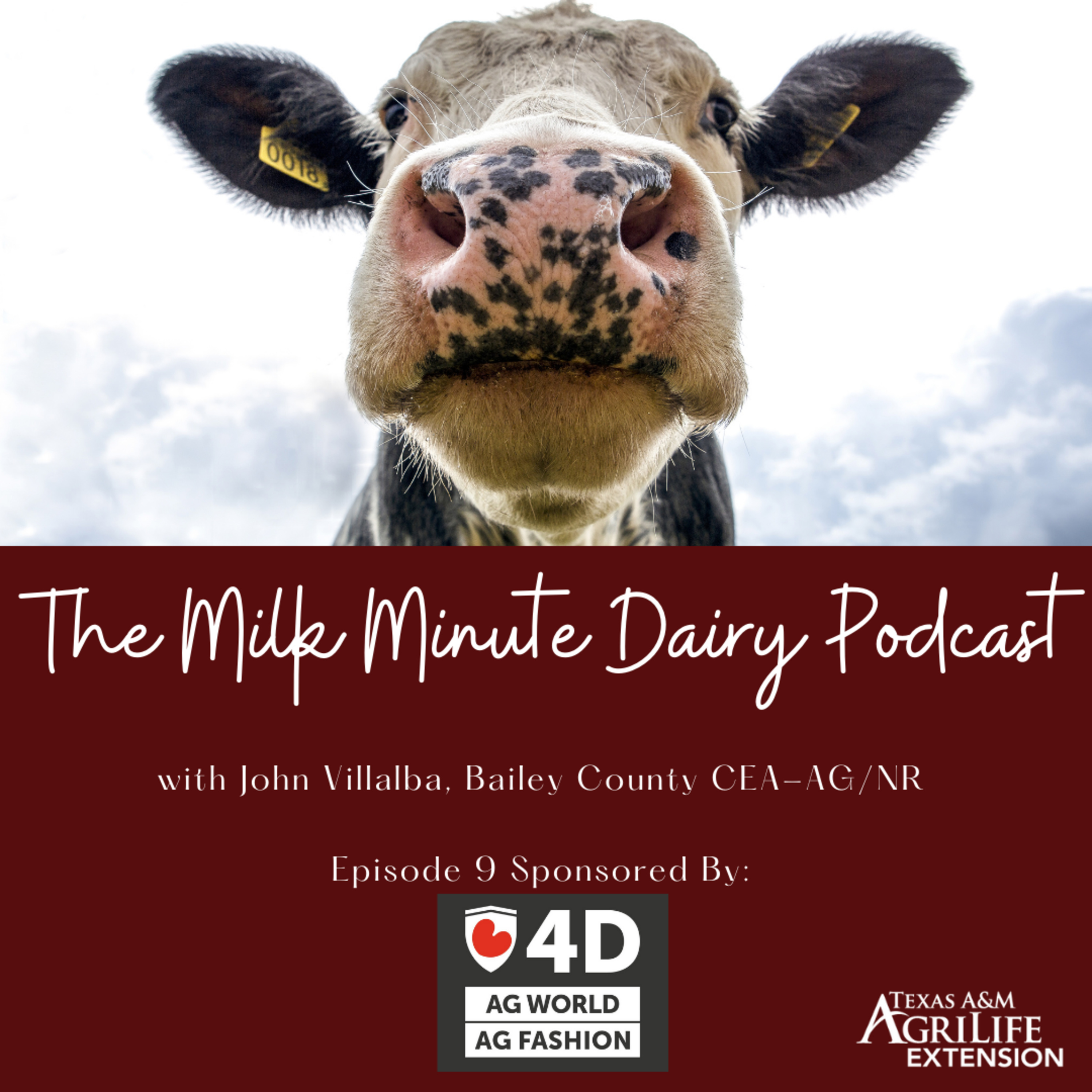 The Milk Minute Dairy Podcast