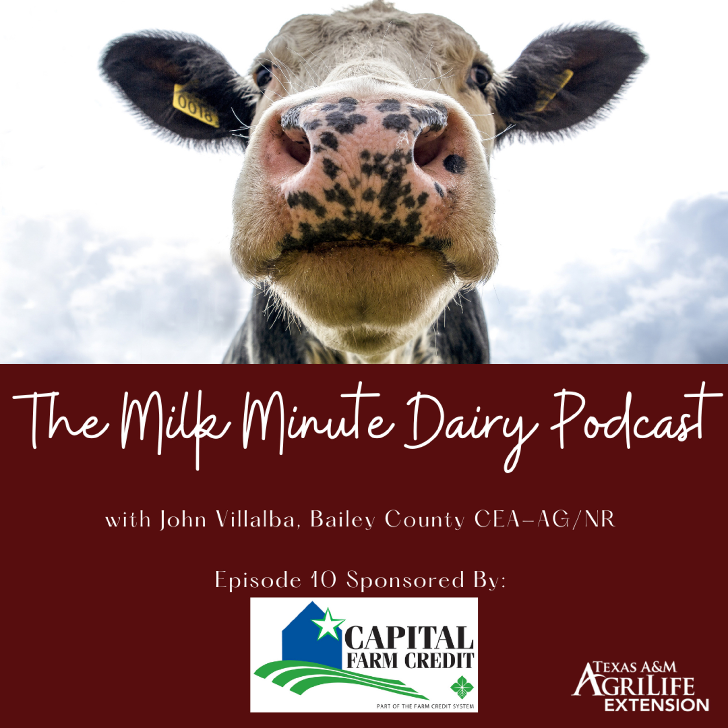 The Milk Minute Dairy Podcast