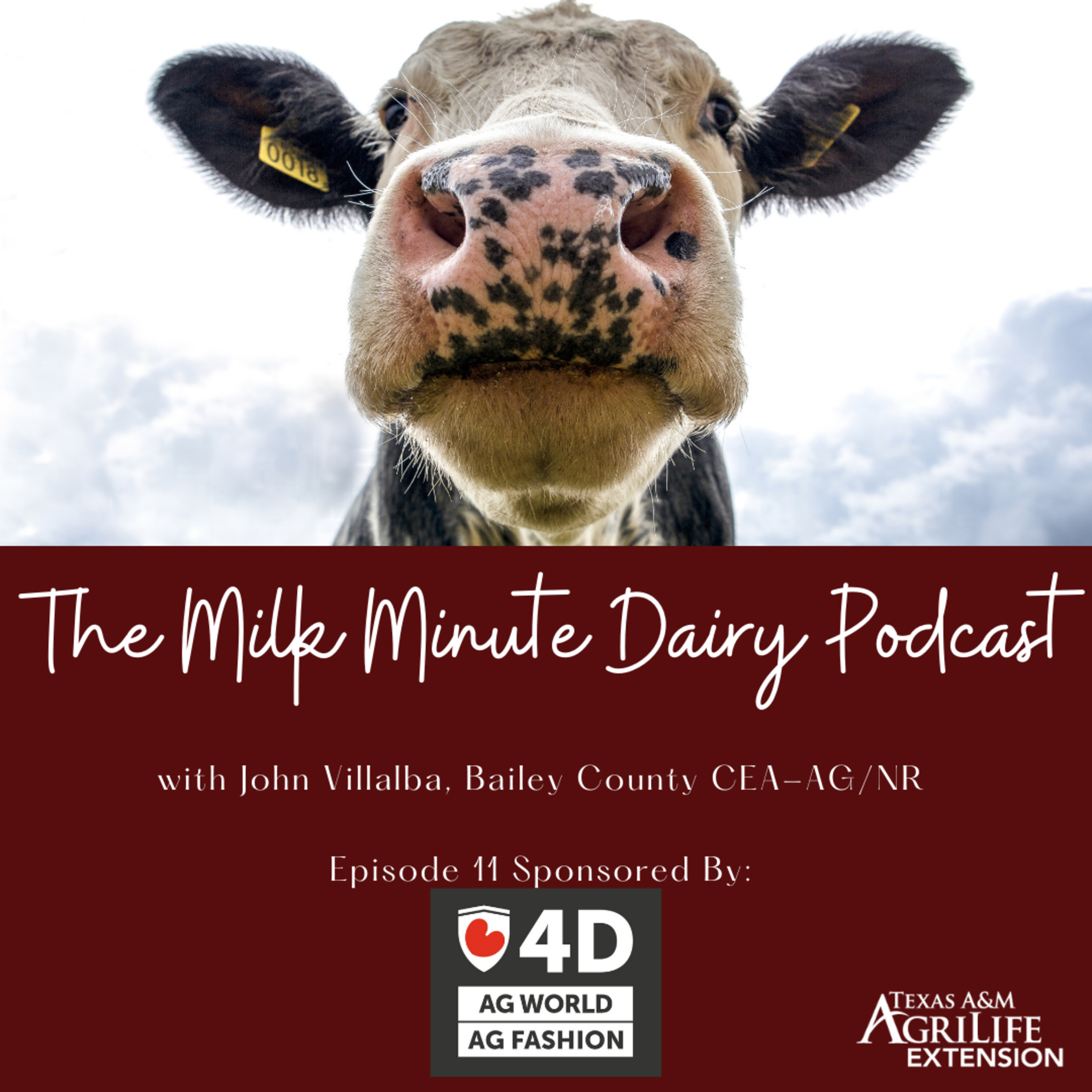 The Milk Minute Dairy Podcast