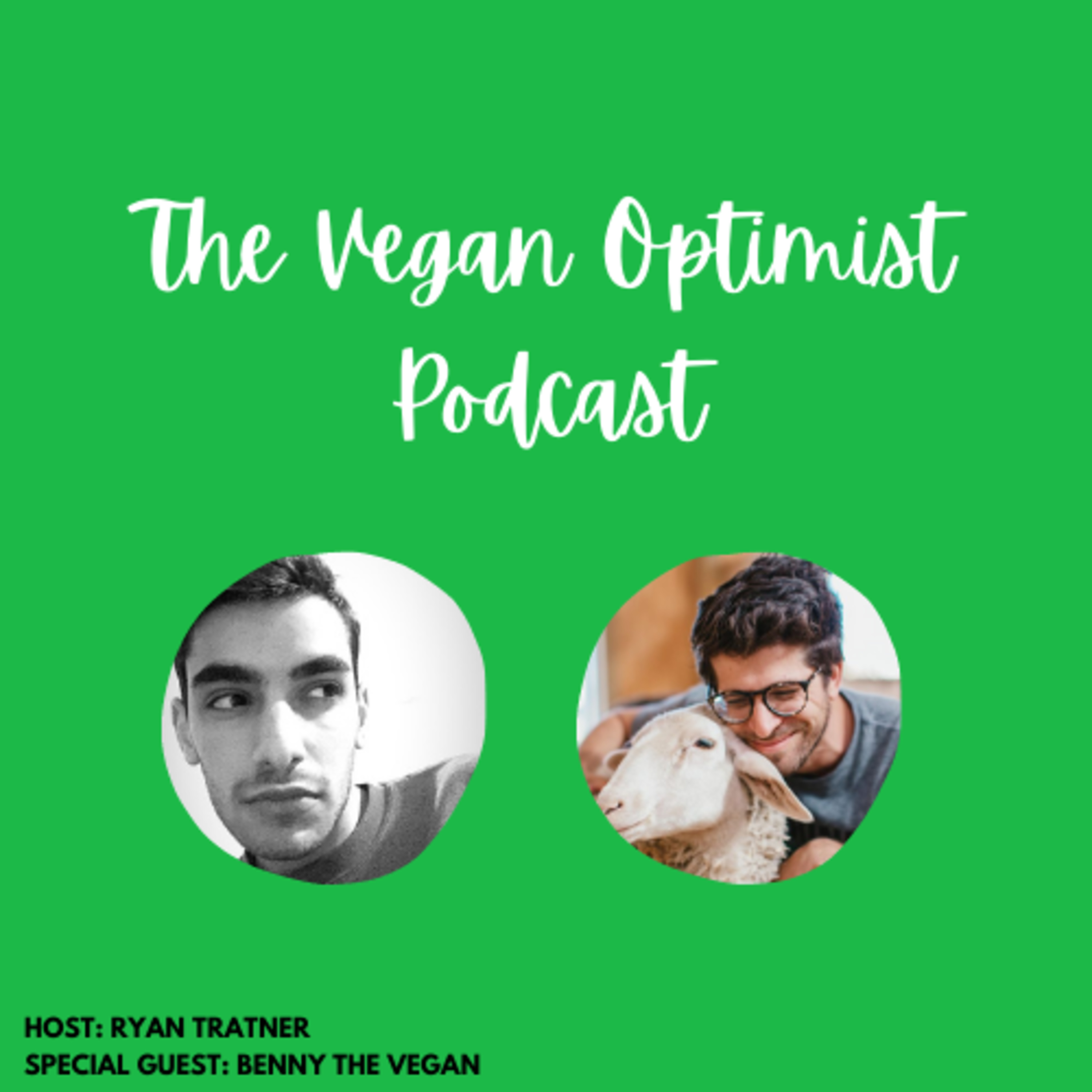 The Vegan Optimist