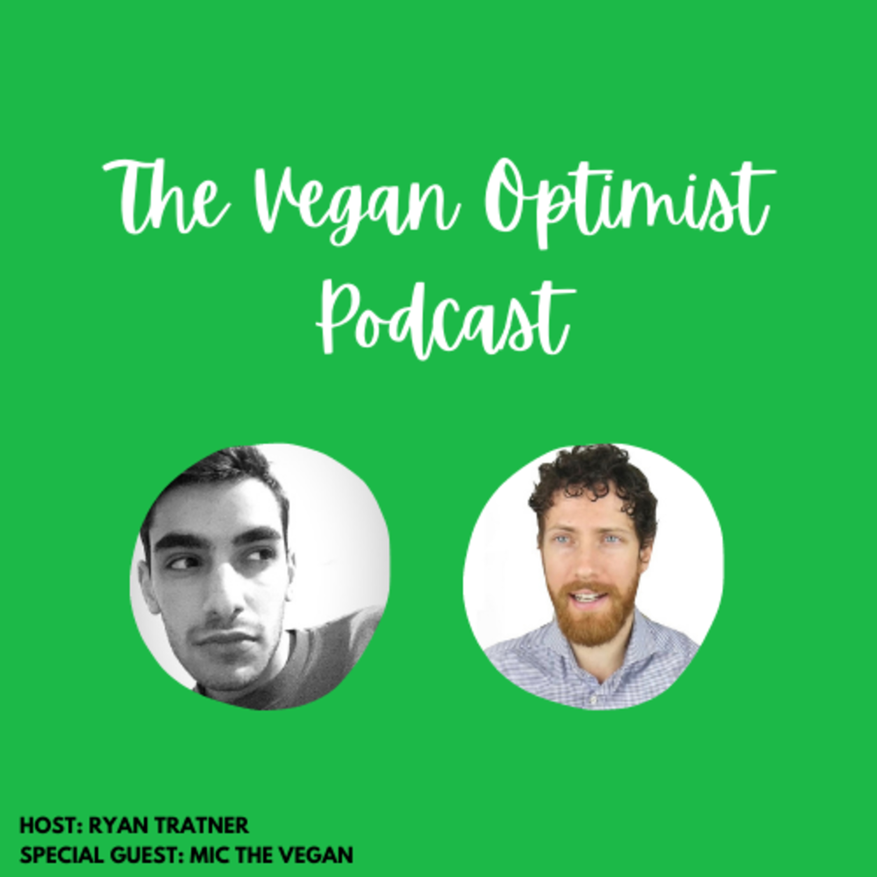 The Vegan Optimist