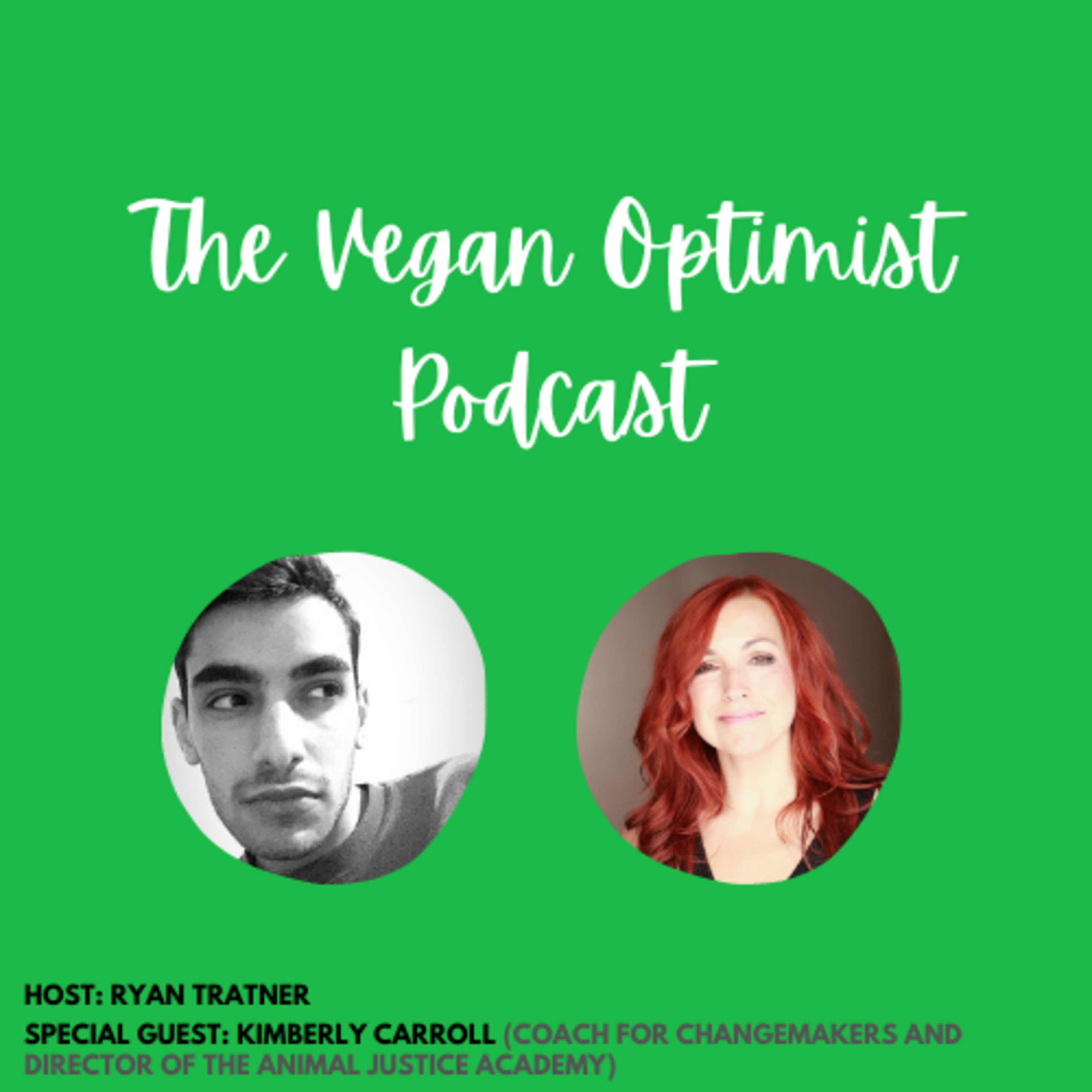 The Vegan Optimist
