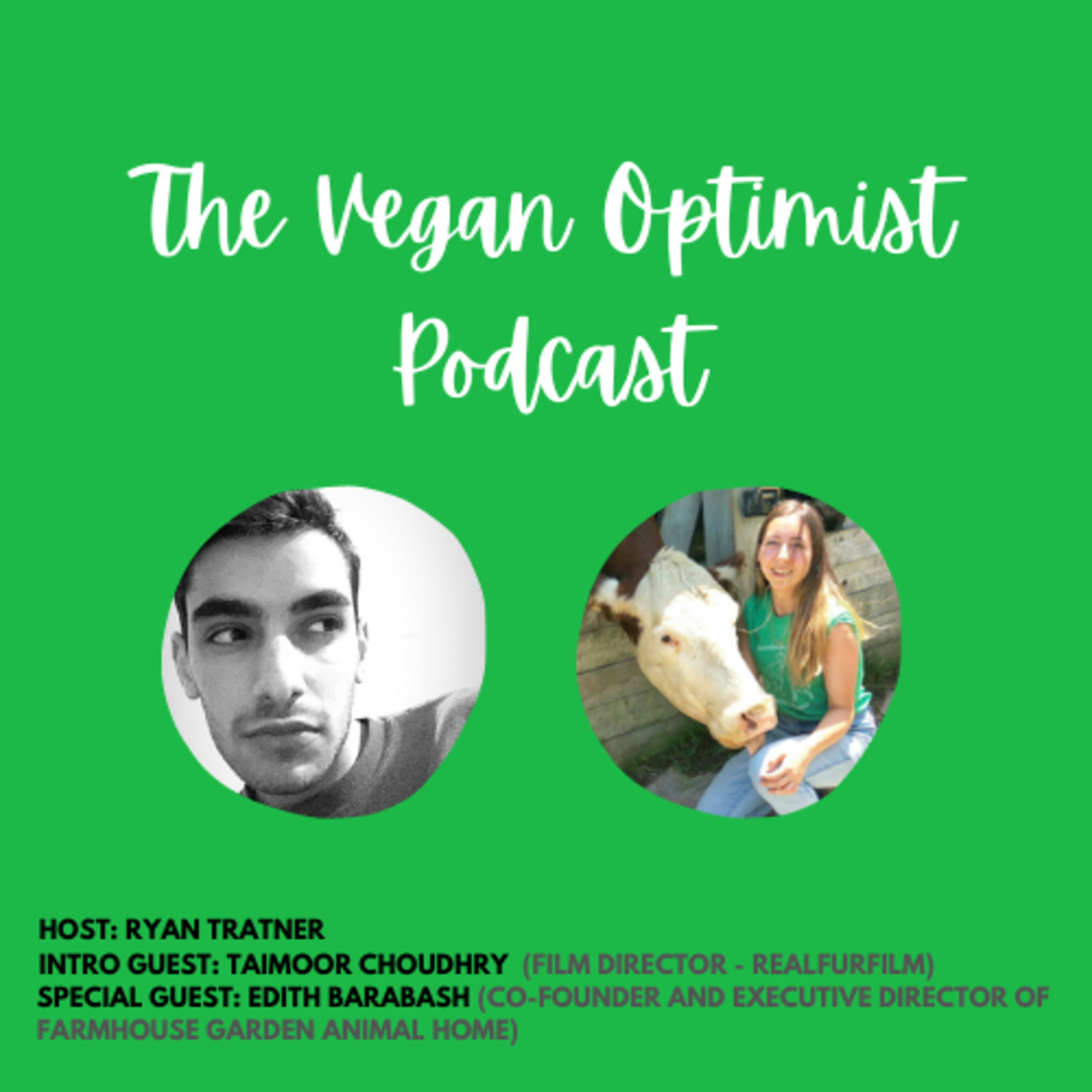 The Vegan Optimist
